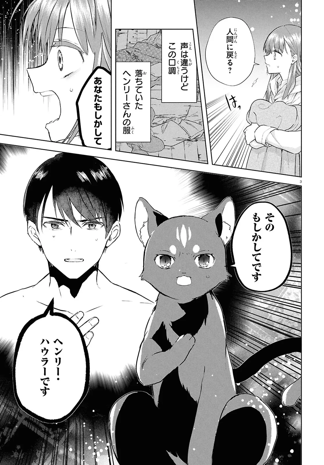 王都の行き止まりカフェ『隠れ家』 ～うっかり魔法使いになった私の店に筆頭文官様がくつろぎに来ます～ 第5話 - 3