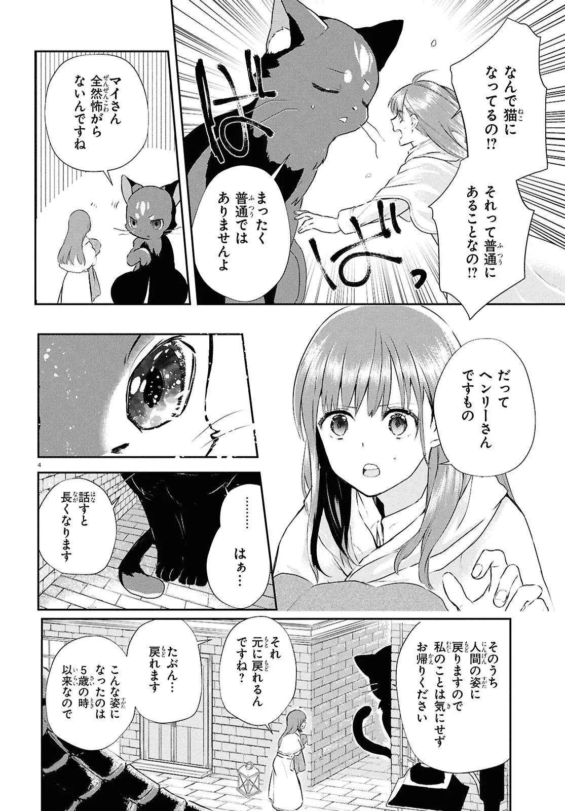 王都の行き止まりカフェ『隠れ家』 ～うっかり魔法使いになった私の店に筆頭文官様がくつろぎに来ます～ 第5話 - 4