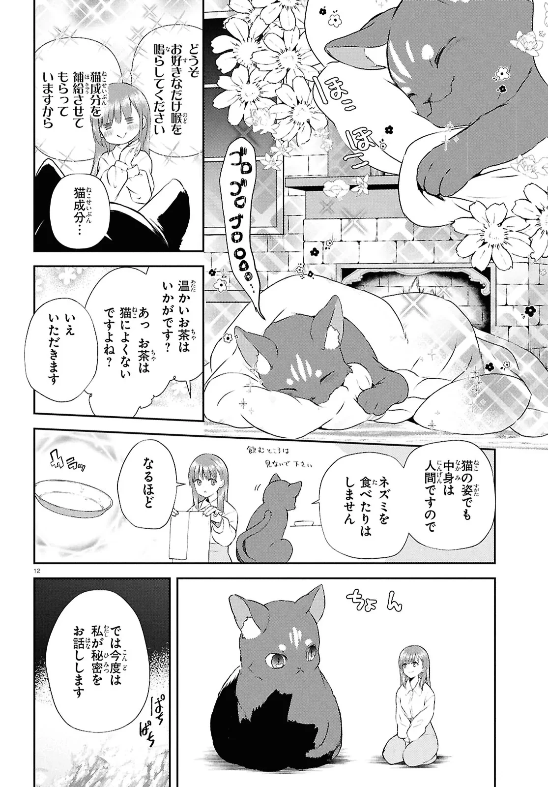 王都の行き止まりカフェ『隠れ家』 ～うっかり魔法使いになった私の店に筆頭文官様がくつろぎに来ます～ 第5話 - 12