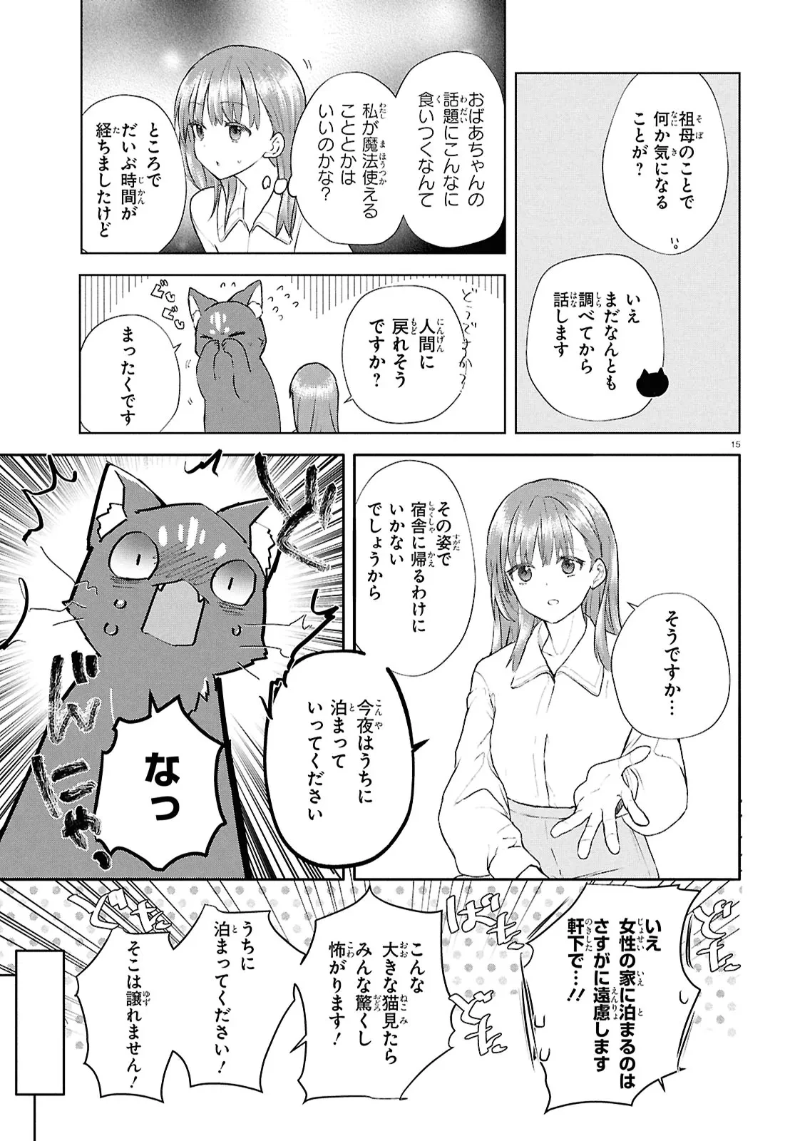 王都の行き止まりカフェ『隠れ家』 ～うっかり魔法使いになった私の店に筆頭文官様がくつろぎに来ます～ 第5話 - 15