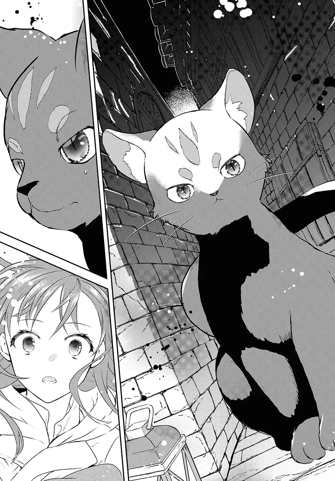 王都の行き止まりカフェ『隠れ家』 ～うっかり魔法使いになった私の店に筆頭文官様がくつろぎに来ます～ 第4話 - 29