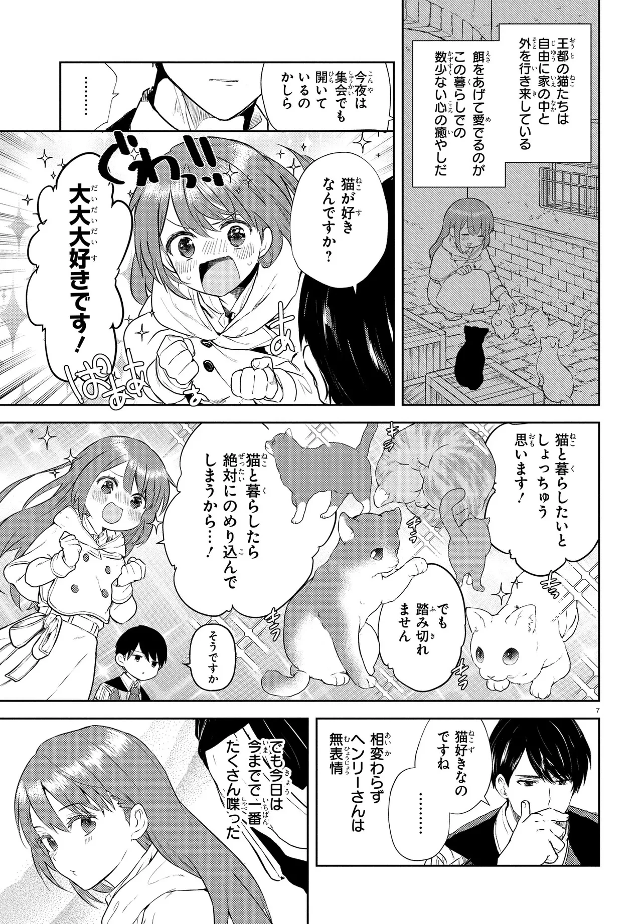 王都の行き止まりカフェ『隠れ家』 ～うっかり魔法使いになった私の店に筆頭文官様がくつろぎに来ます～ 第3話 - 7