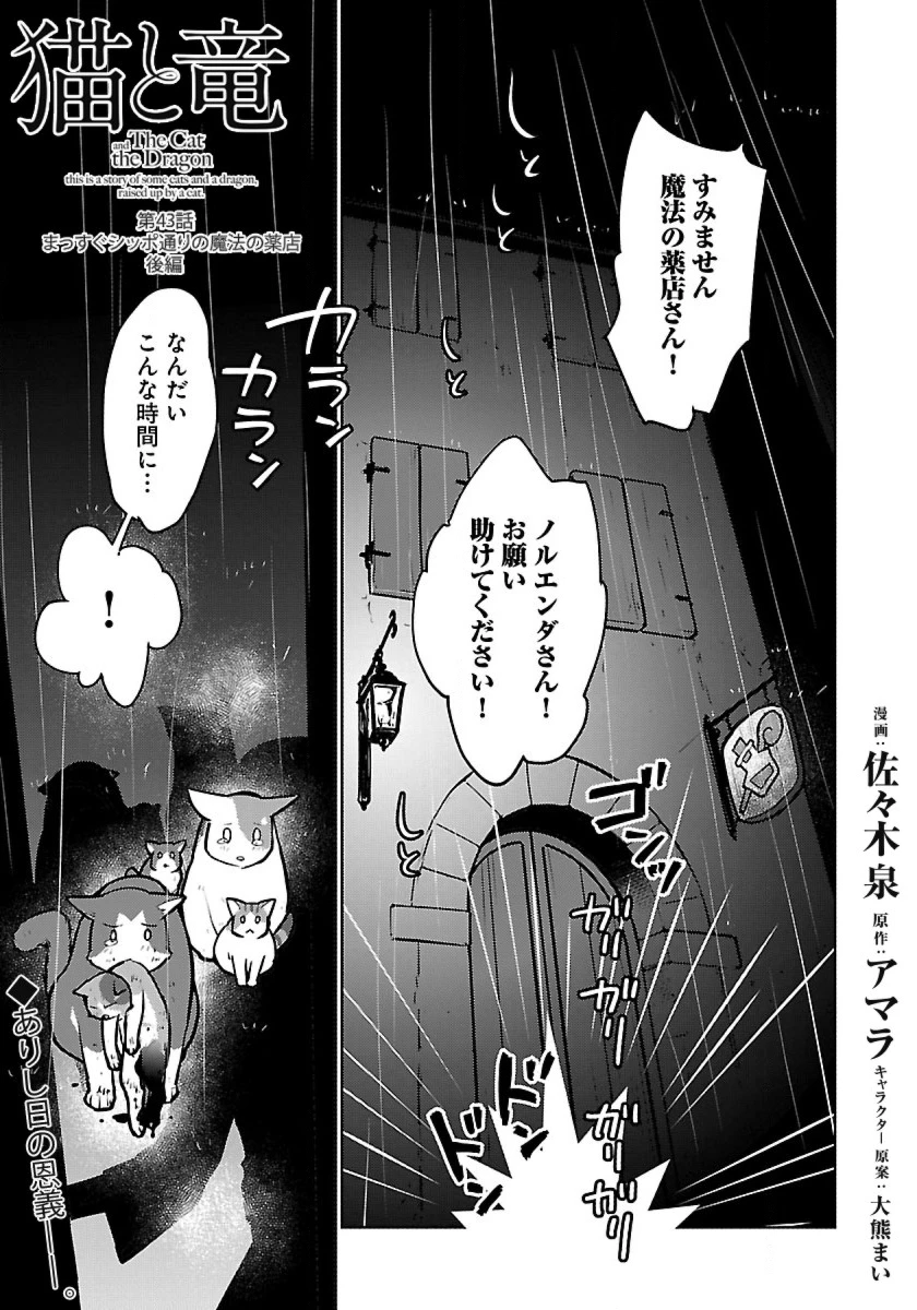 猫と竜 第43話 - 1