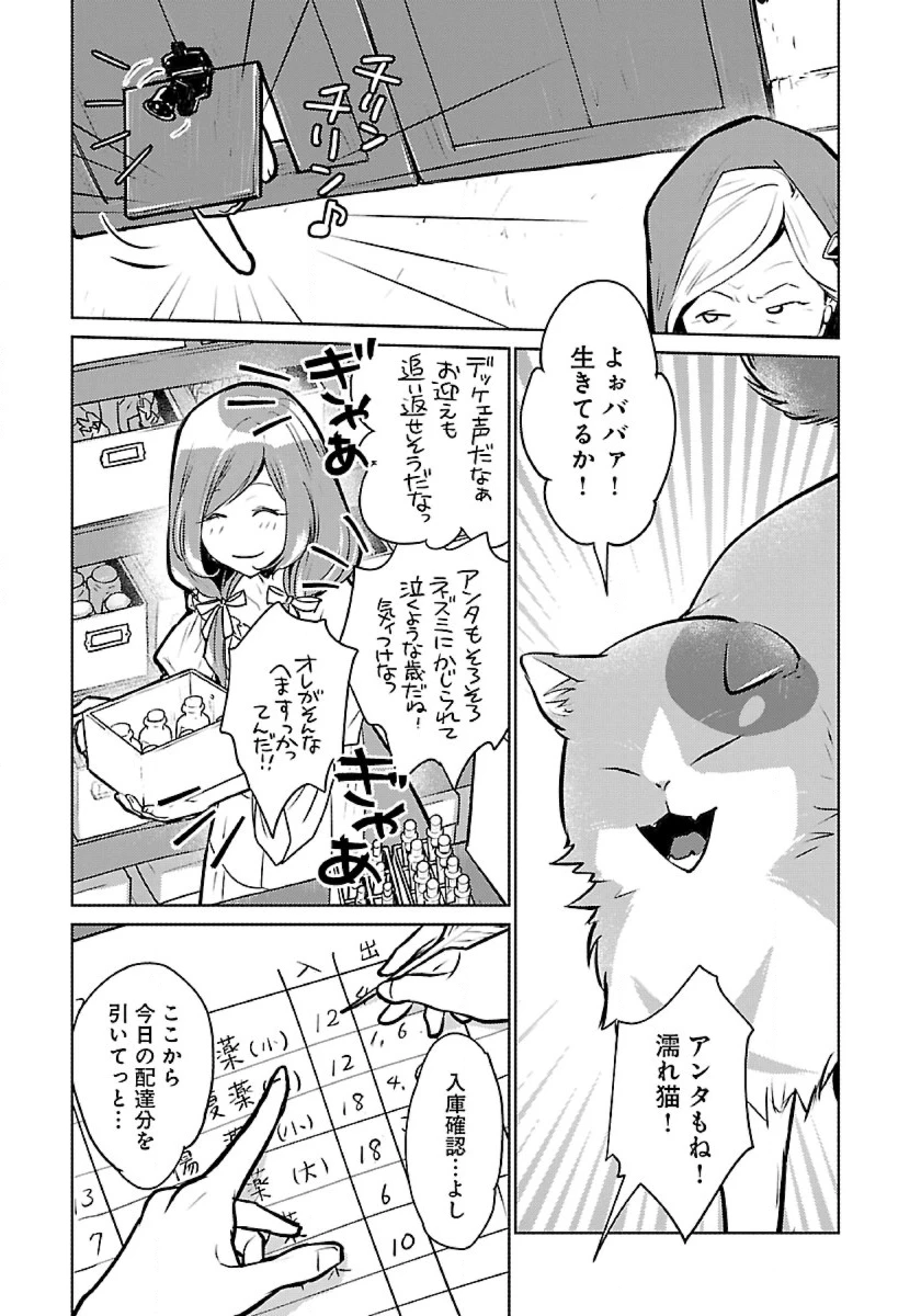 猫と竜 第43話 - 11