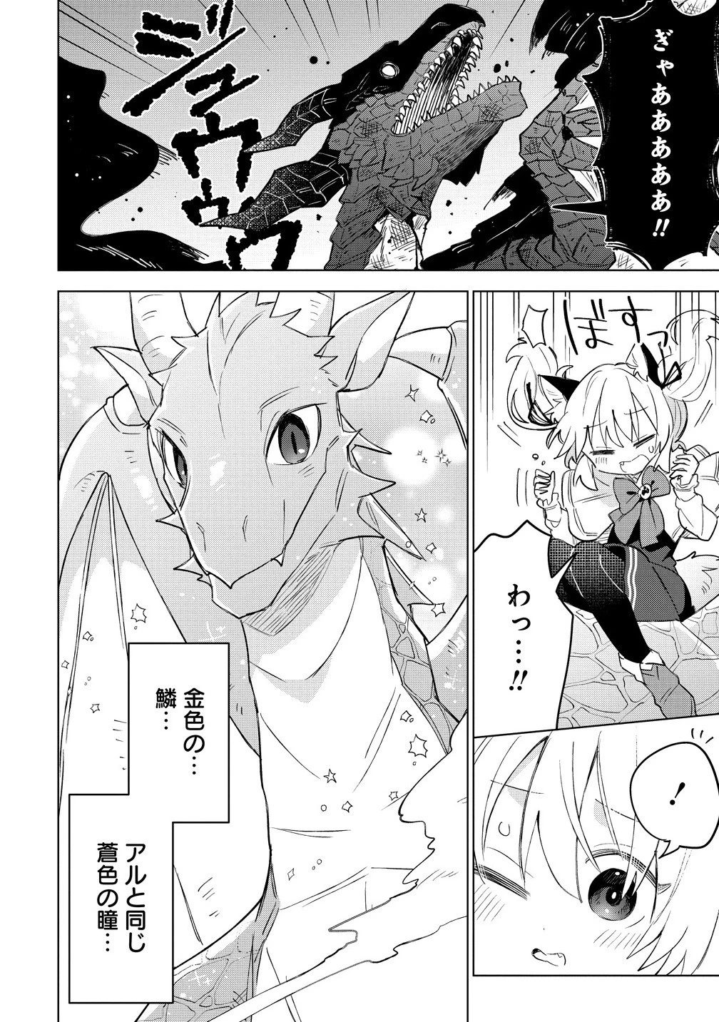 猫耳少女は森でスローライフを送りたい ～もふもふは所望しましたが、聖女とか王子様とかは注文外です～ 第13話 - 10