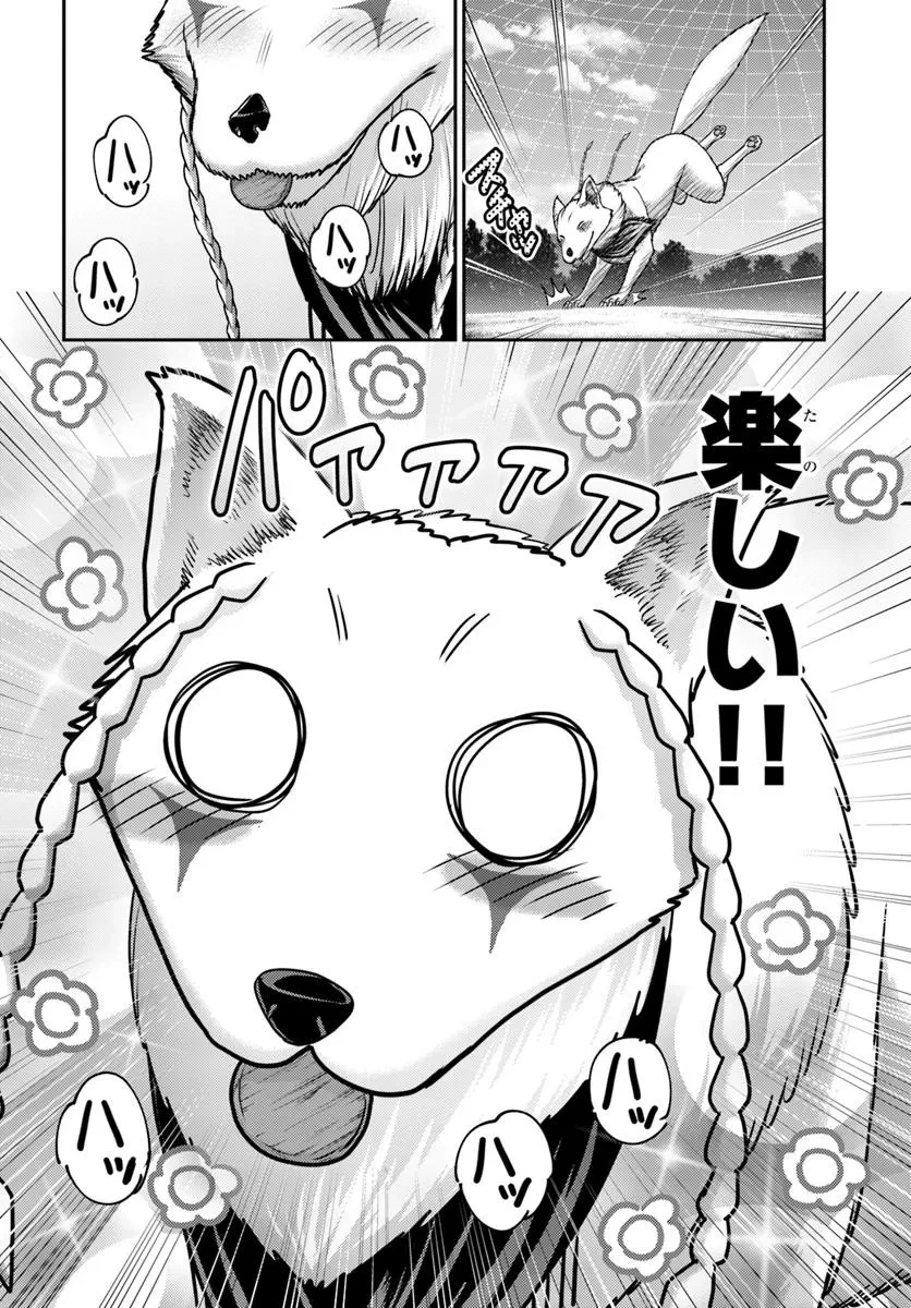 幼馴染のS級パーティーから追放された聖獣使い。万能支援魔法と仲間を増やして最強へ! 第50話 - 2