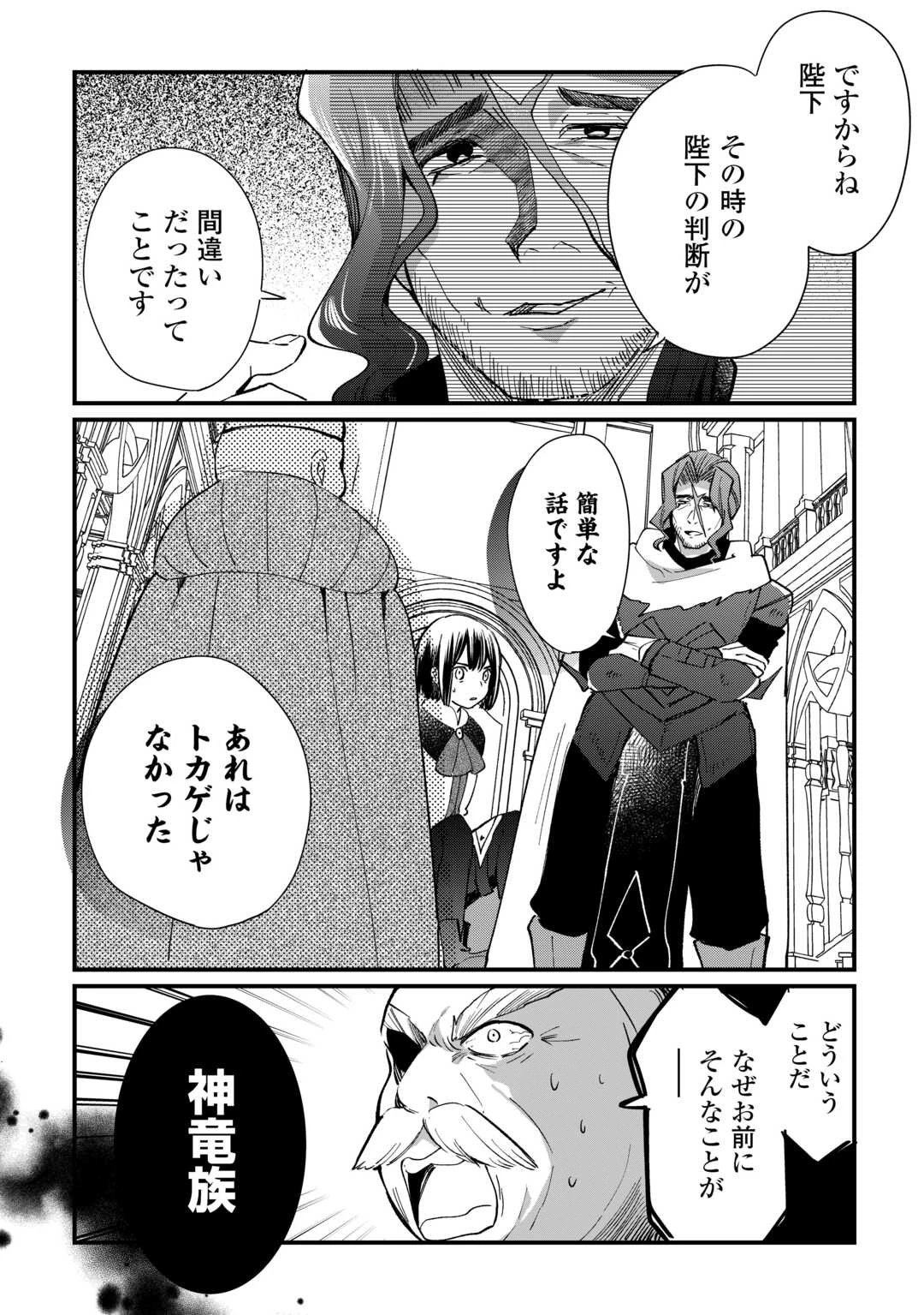 トカゲ（本当は神竜）を召喚した聖獣使い、竜の背中で開拓ライフ 第17話 - 20