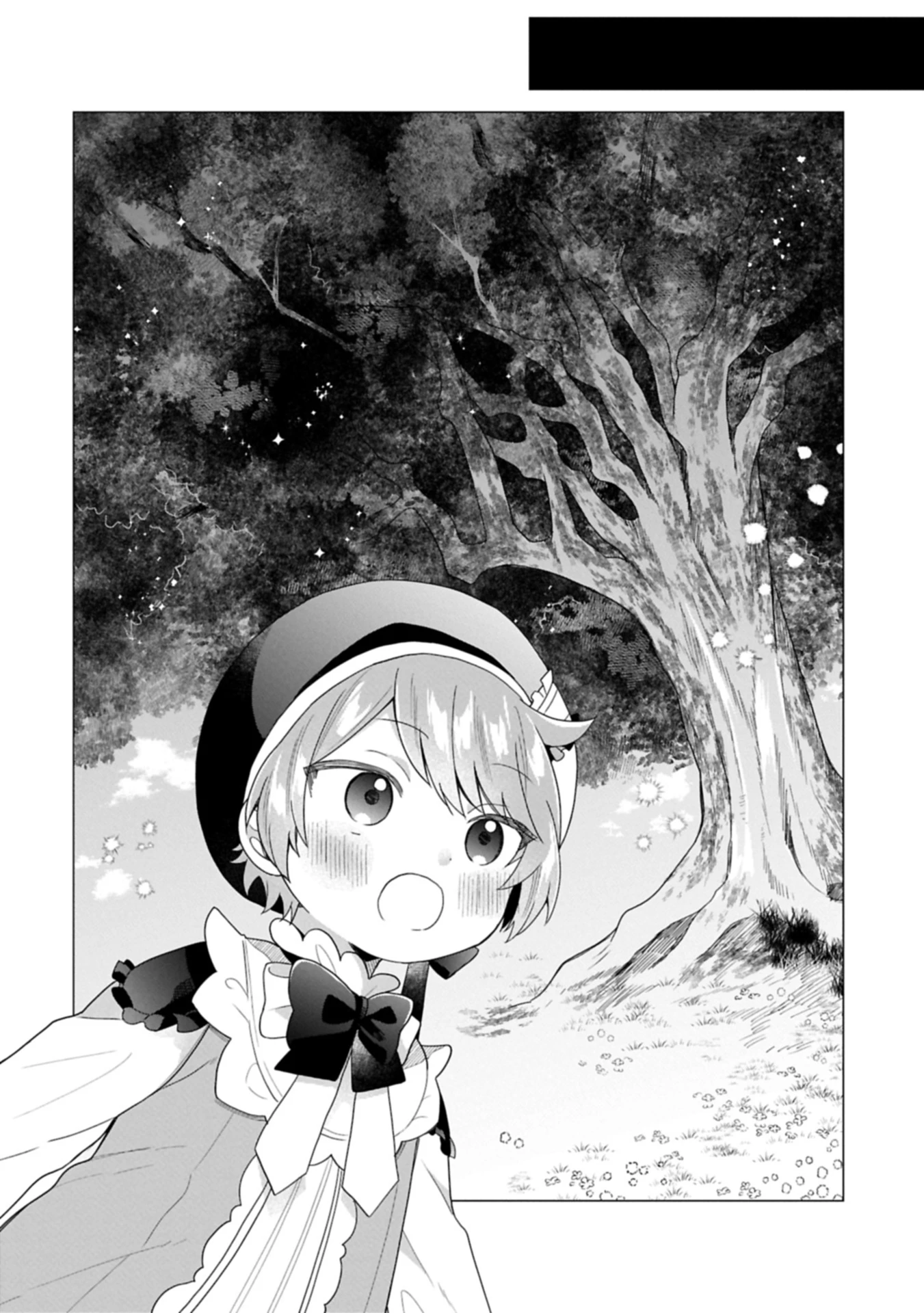 ボクは光の国の転生皇子さま!～溺愛する家族と精霊の加護と共に、ボクの天然チートでお助けします!～ 第3.2話 - 12