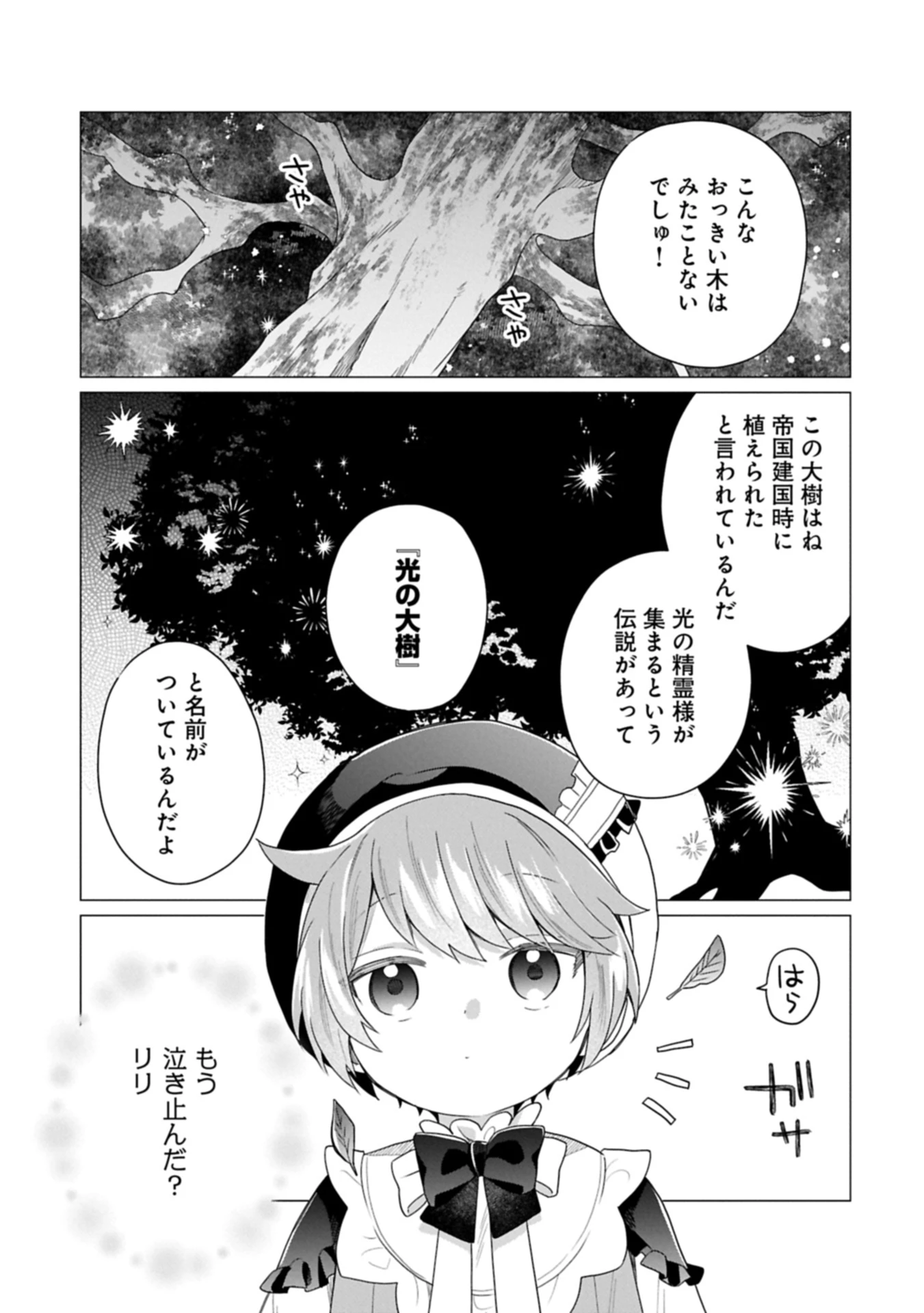 ボクは光の国の転生皇子さま!～溺愛する家族と精霊の加護と共に、ボクの天然チートでお助けします!～ 第3.2話 - 13