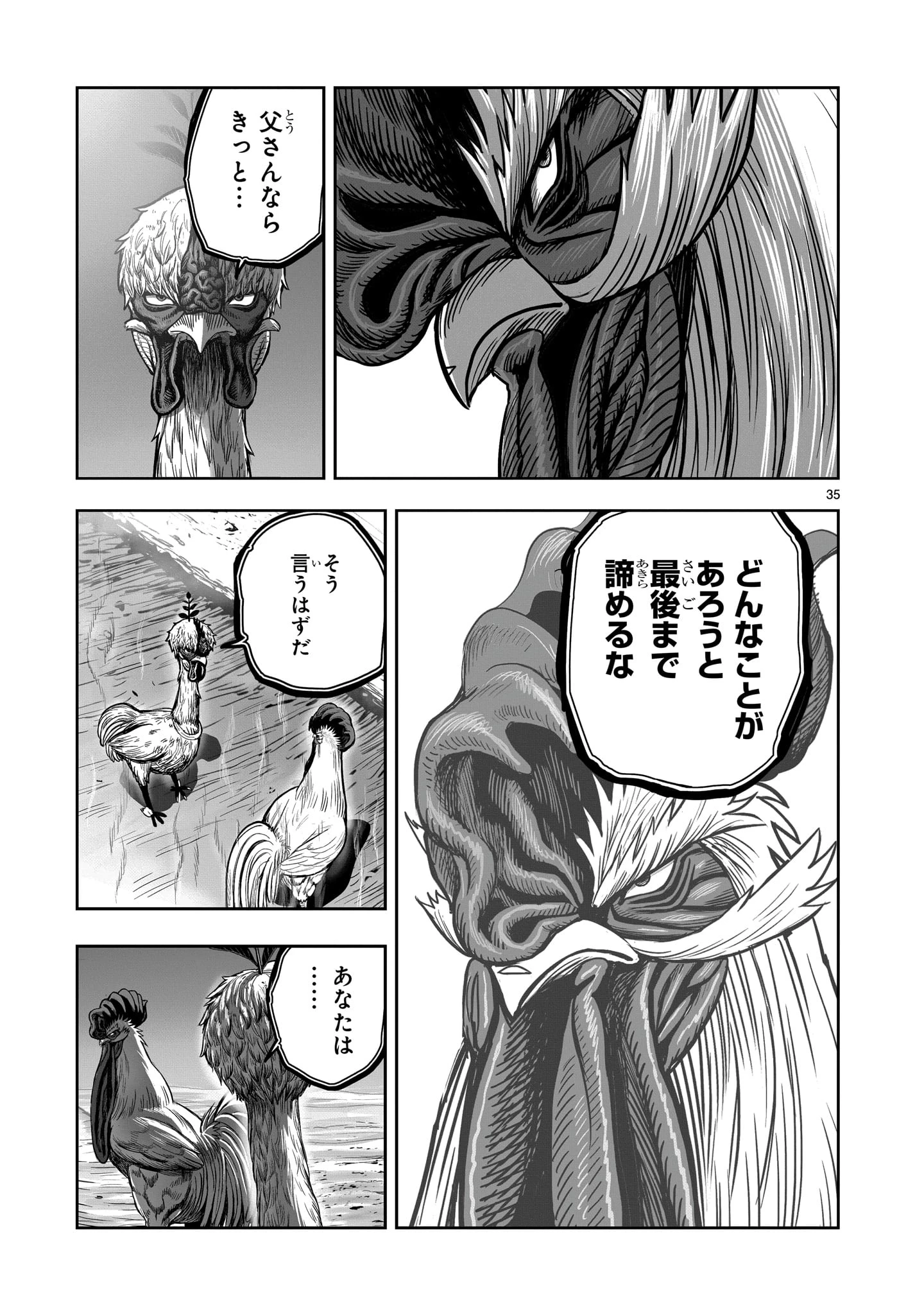 ニワトリ・ファイター 第50話 - 35