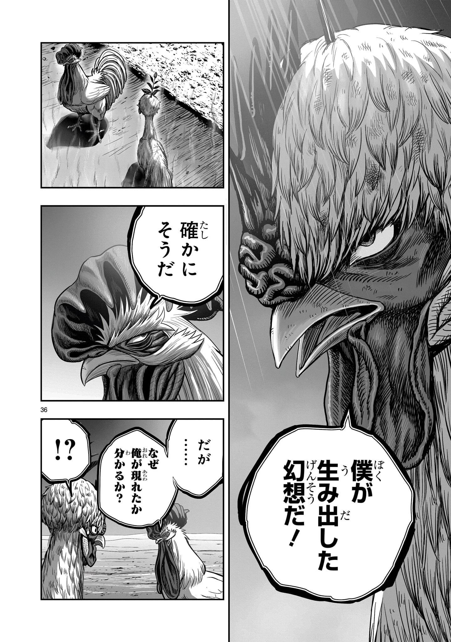 ニワトリ・ファイター 第50話 - 36