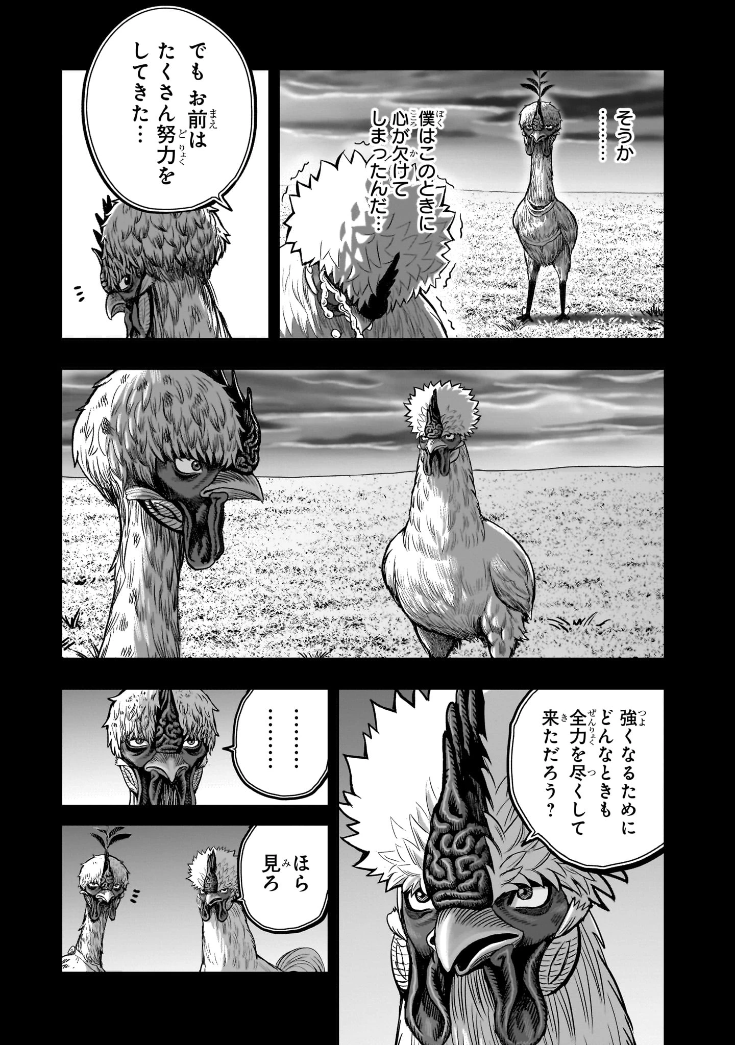 ニワトリ・ファイター 第50話 - 43