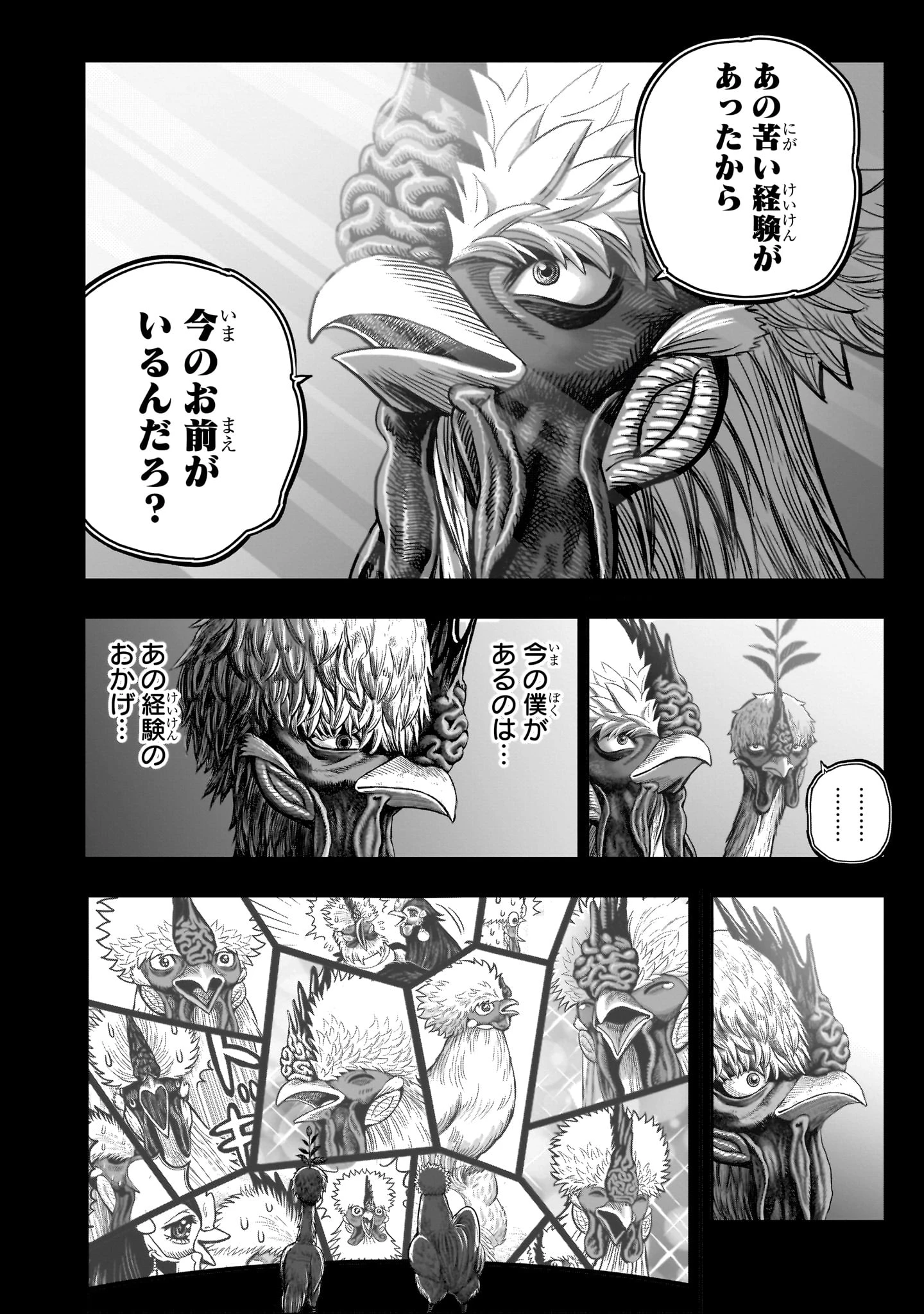 ニワトリ・ファイター 第50話 - 46