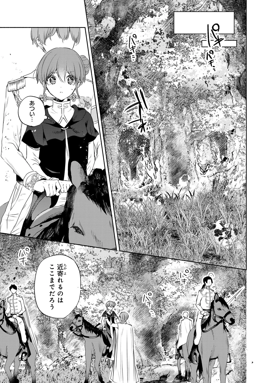 聖女様をお探しでしたら妹で間違いありません。さあどうぞお連れください、今すぐ。 第21話 - 5