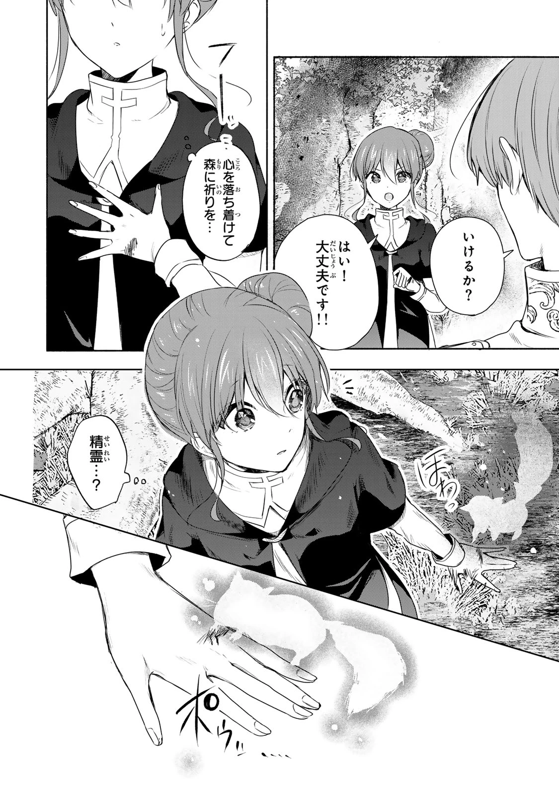 聖女様をお探しでしたら妹で間違いありません。さあどうぞお連れください、今すぐ。 第21話 - 6