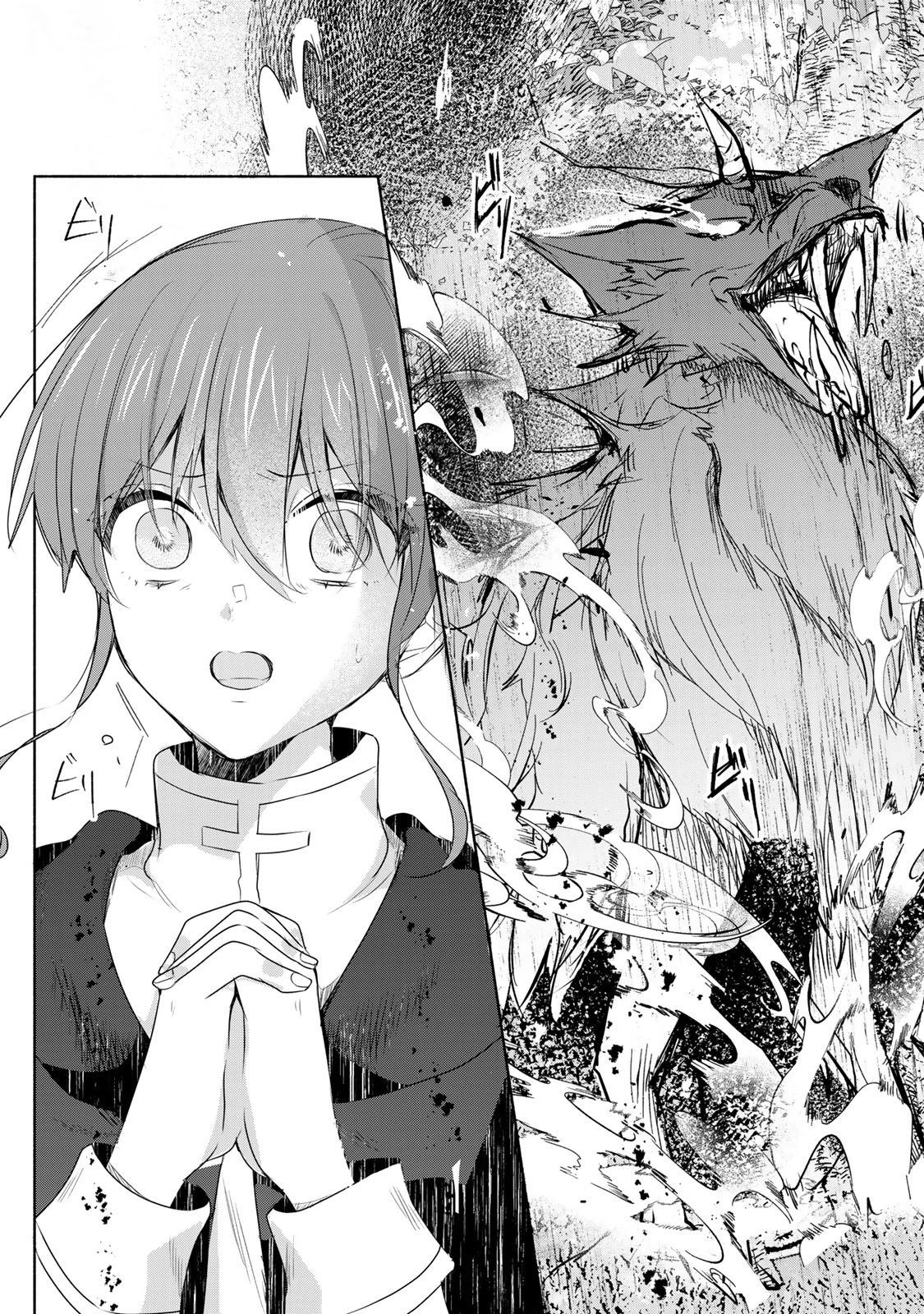 聖女様をお探しでしたら妹で間違いありません。さあどうぞお連れください、今すぐ。 第21話 - 13