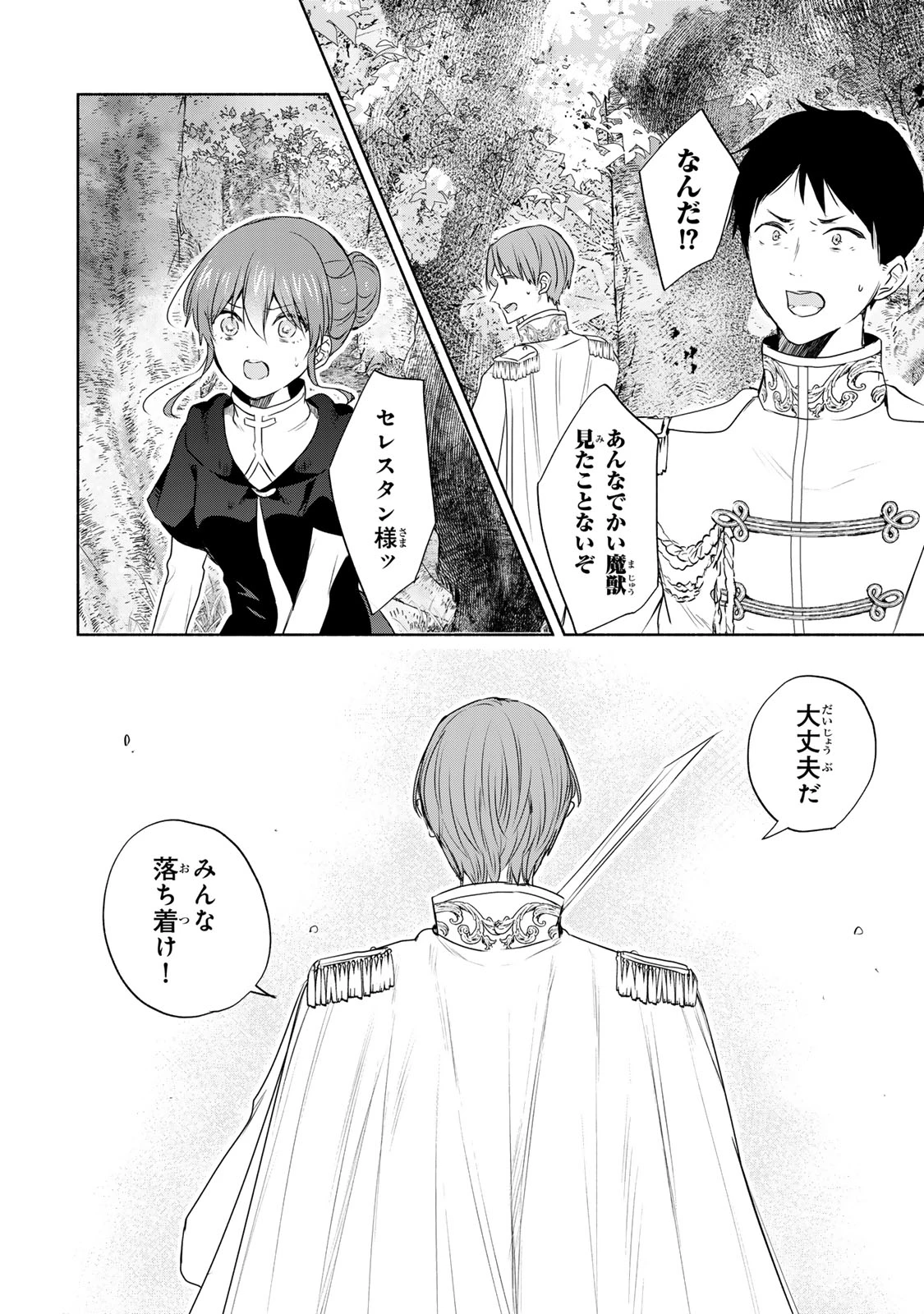 聖女様をお探しでしたら妹で間違いありません。さあどうぞお連れください、今すぐ。 第21話 - 14