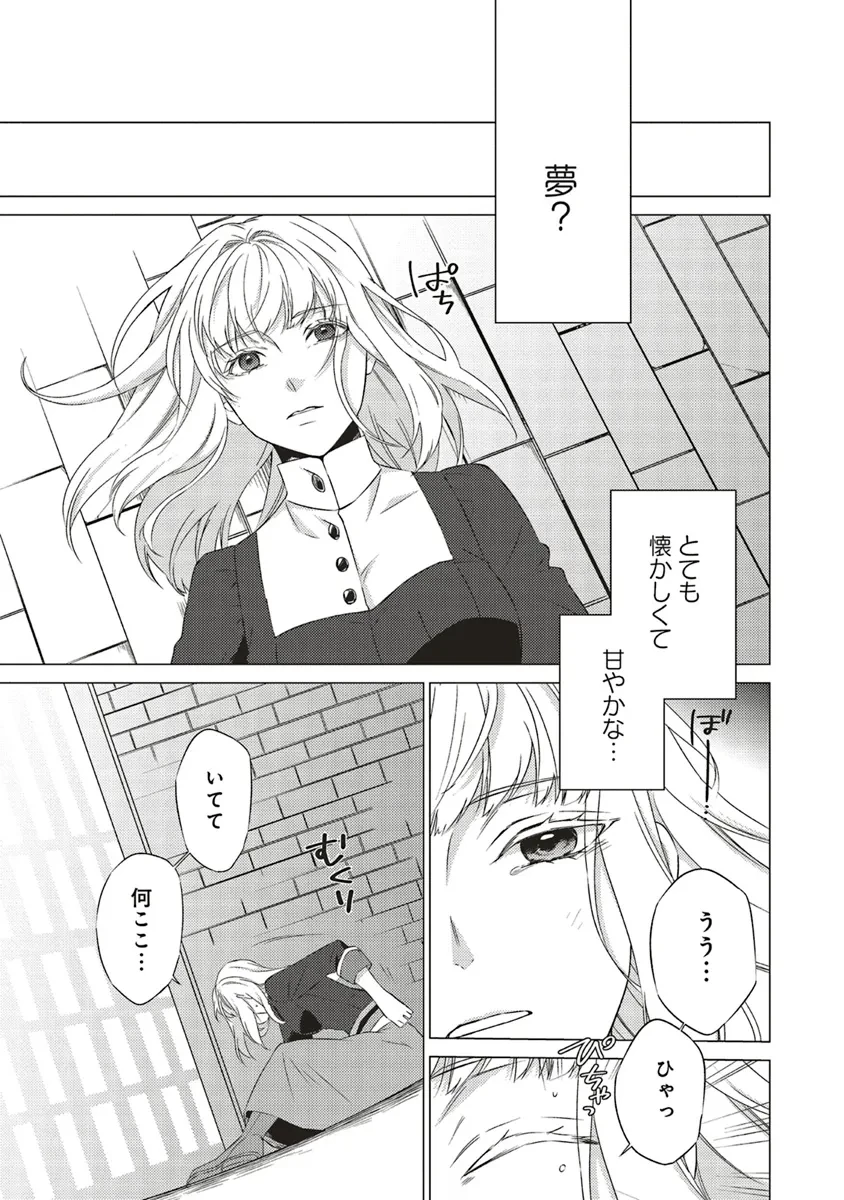 二周目人生成为圣女要过随心所欲的人生~王太子是前世甩掉我的恋人~ 第22話 - 37