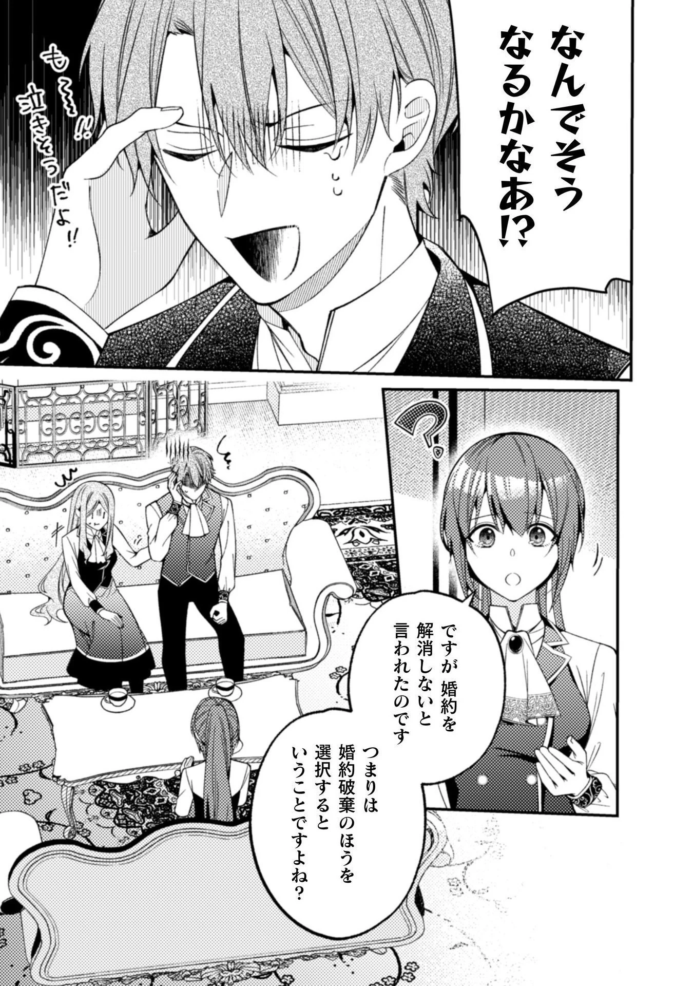 『理想の花嫁を探して幸せにして差し上げます』と言ったら、そっけなかった婚約者が何故か関わってきますが、花嫁斡旋頑張ります 第8話 - 16