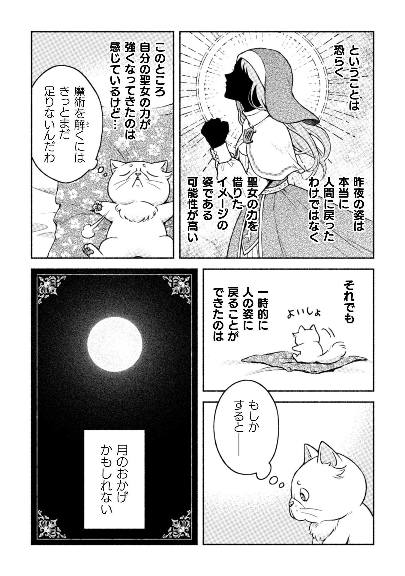 根暗騎士による溺愛満喫中のブサ猫、実は聖女です! 第7話 - 4