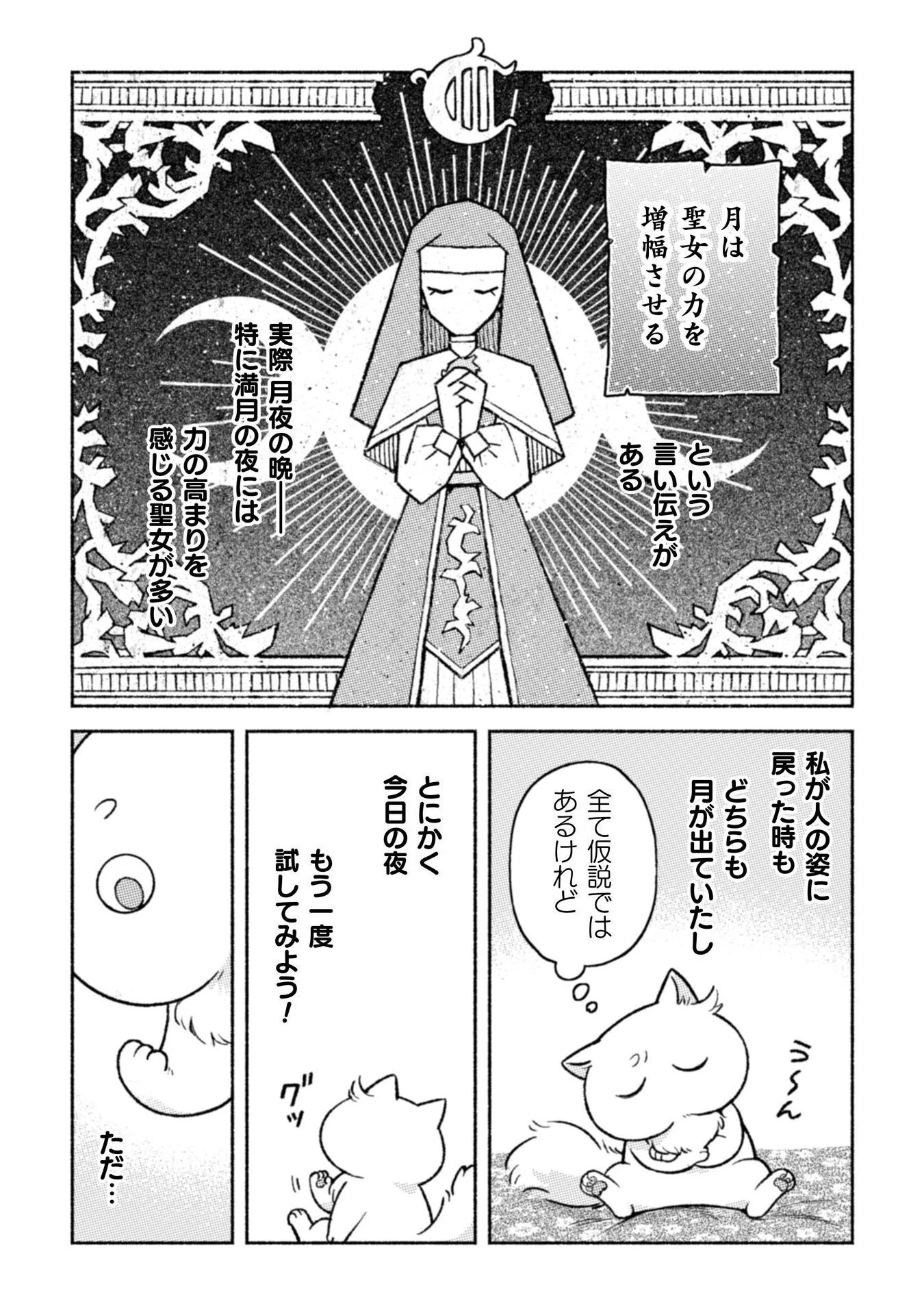 根暗騎士による溺愛満喫中のブサ猫、実は聖女です! 第7話 - 5