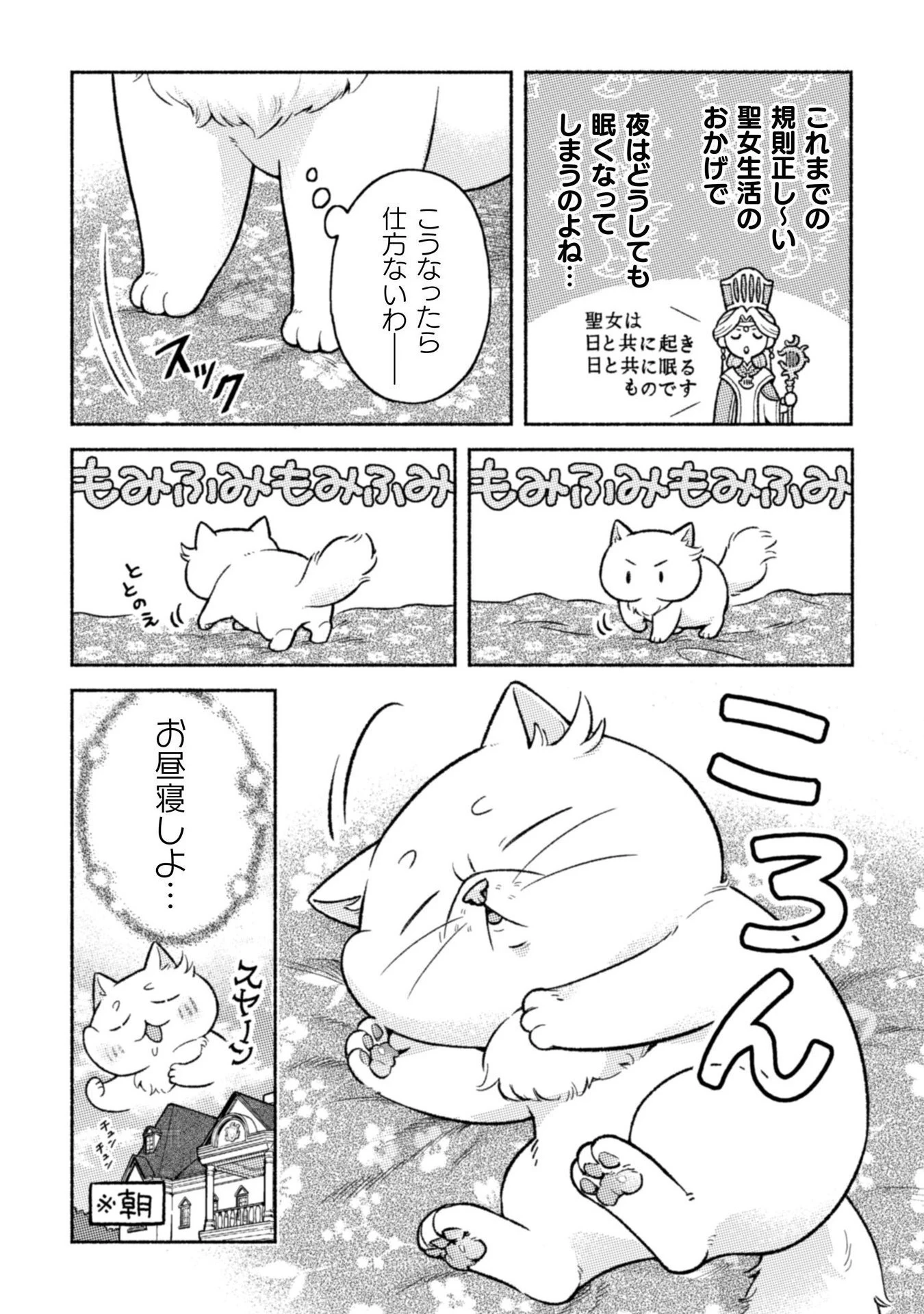 根暗騎士による溺愛満喫中のブサ猫、実は聖女です! 第7話 - 6