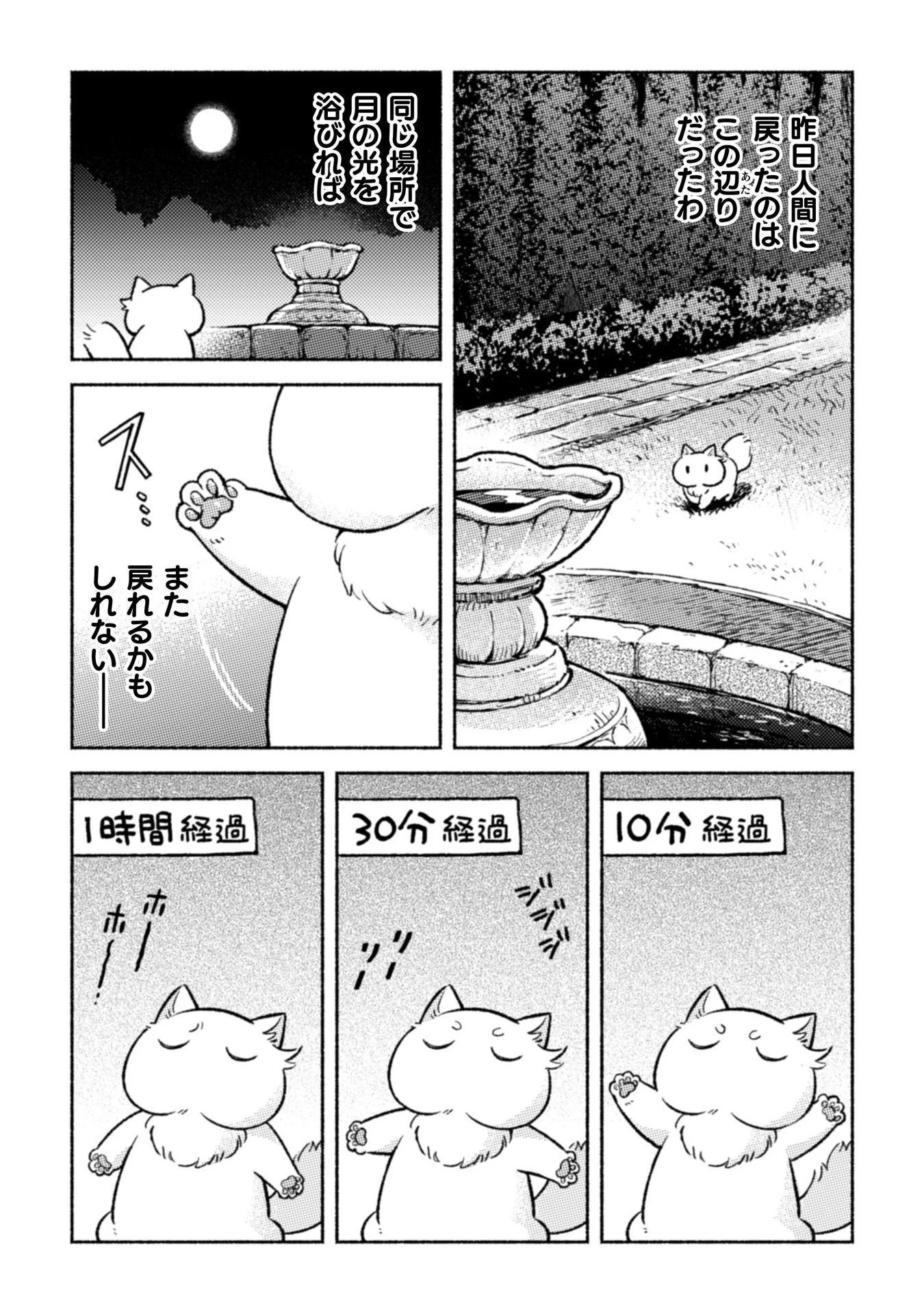 根暗騎士による溺愛満喫中のブサ猫、実は聖女です! 第7話 - 8