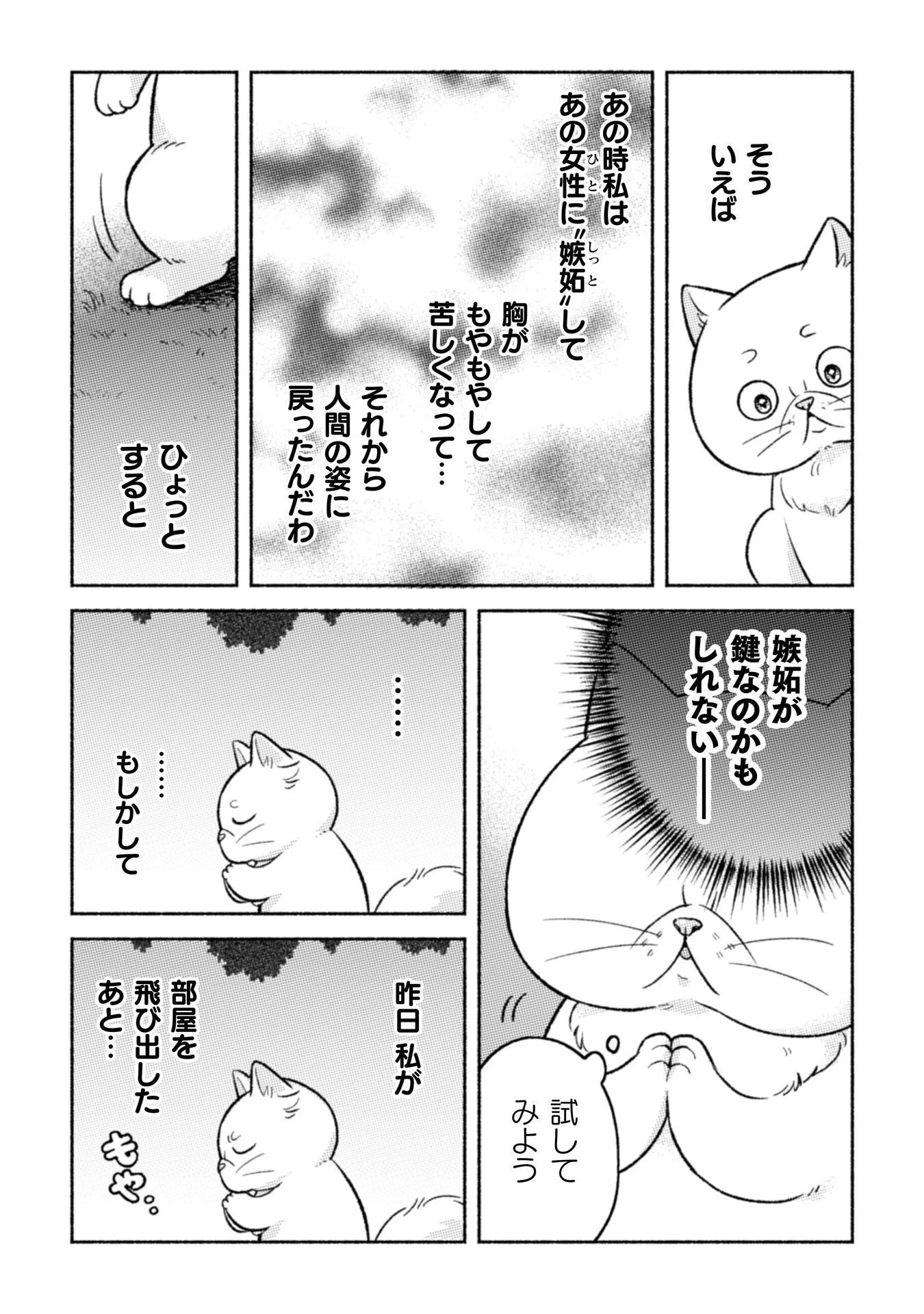 根暗騎士による溺愛満喫中のブサ猫、実は聖女です! 第7話 - 10