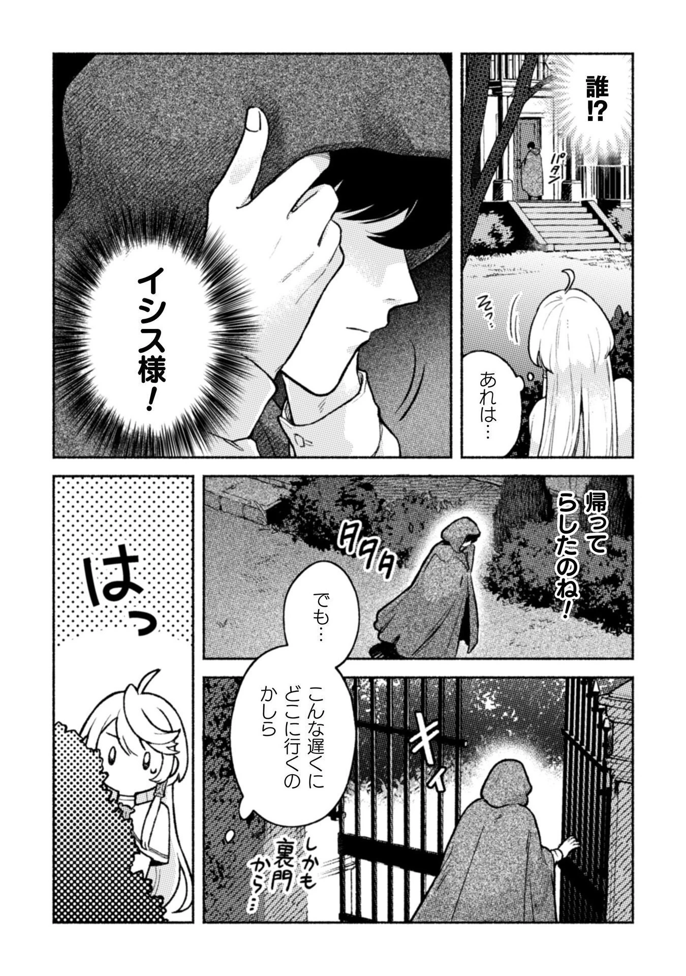 根暗騎士による溺愛満喫中のブサ猫、実は聖女です! 第7話 - 13