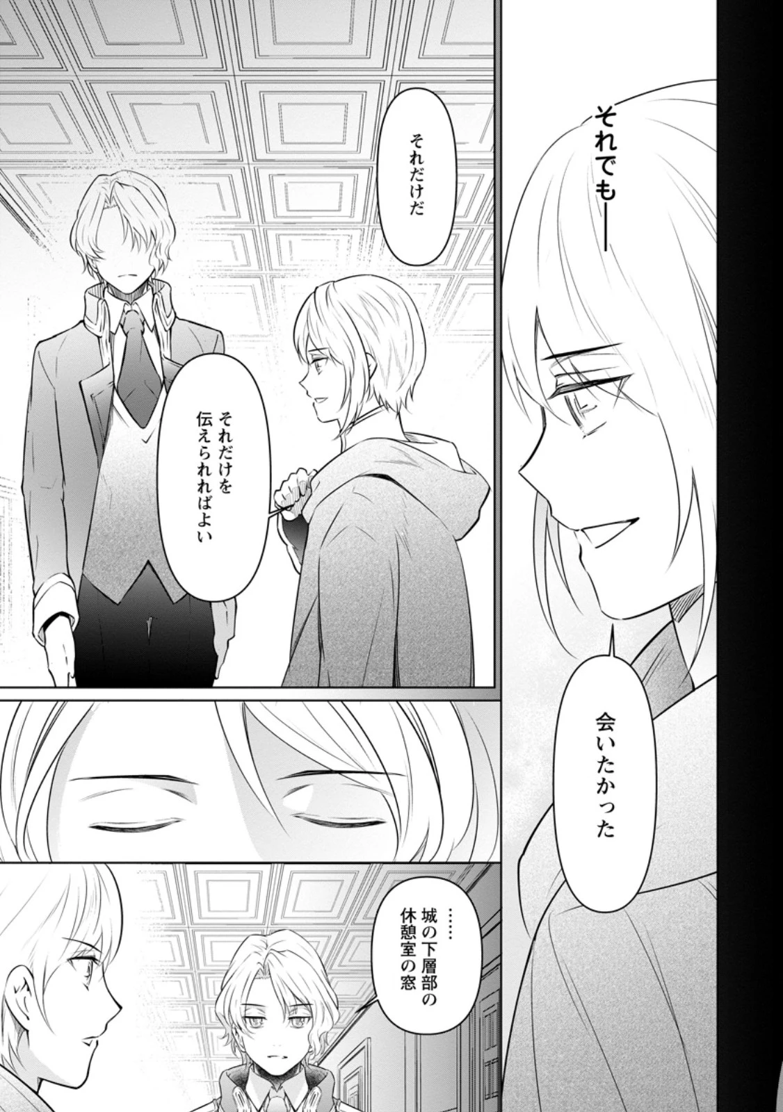 騙され裏切られ処刑された私が……誰を信じられるというのでしょう? 第37.1話 - 3