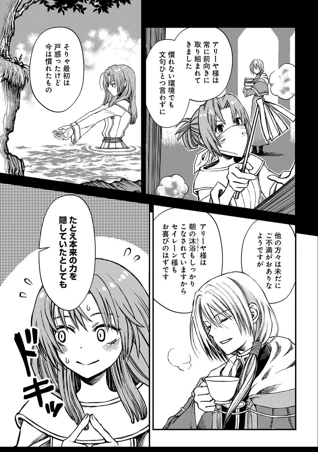 婚約破棄されました 本気出していいですよね THE COMIC 第5話 - 3