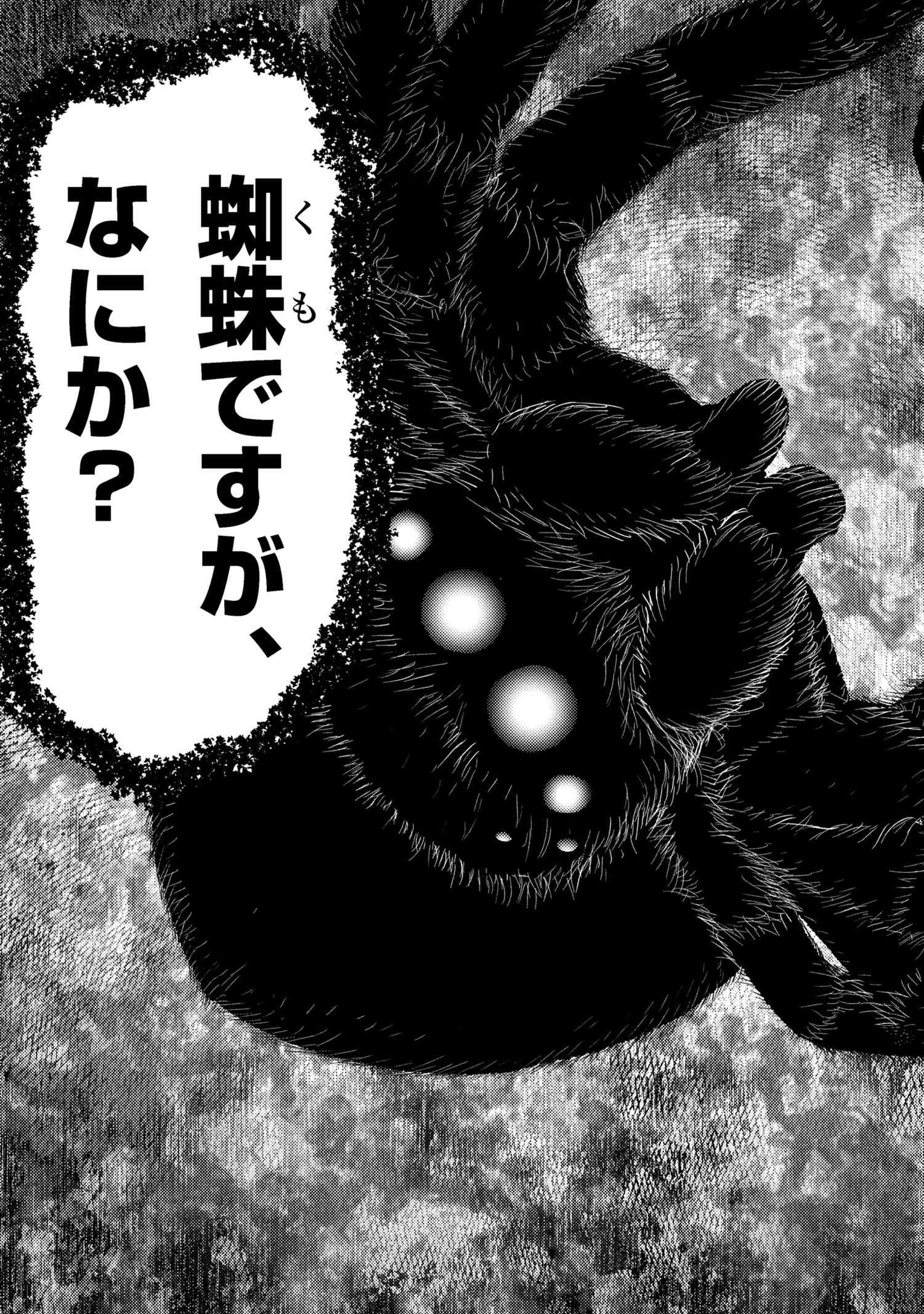 蜘蛛ですが、なにか? 第75.2話 - 13