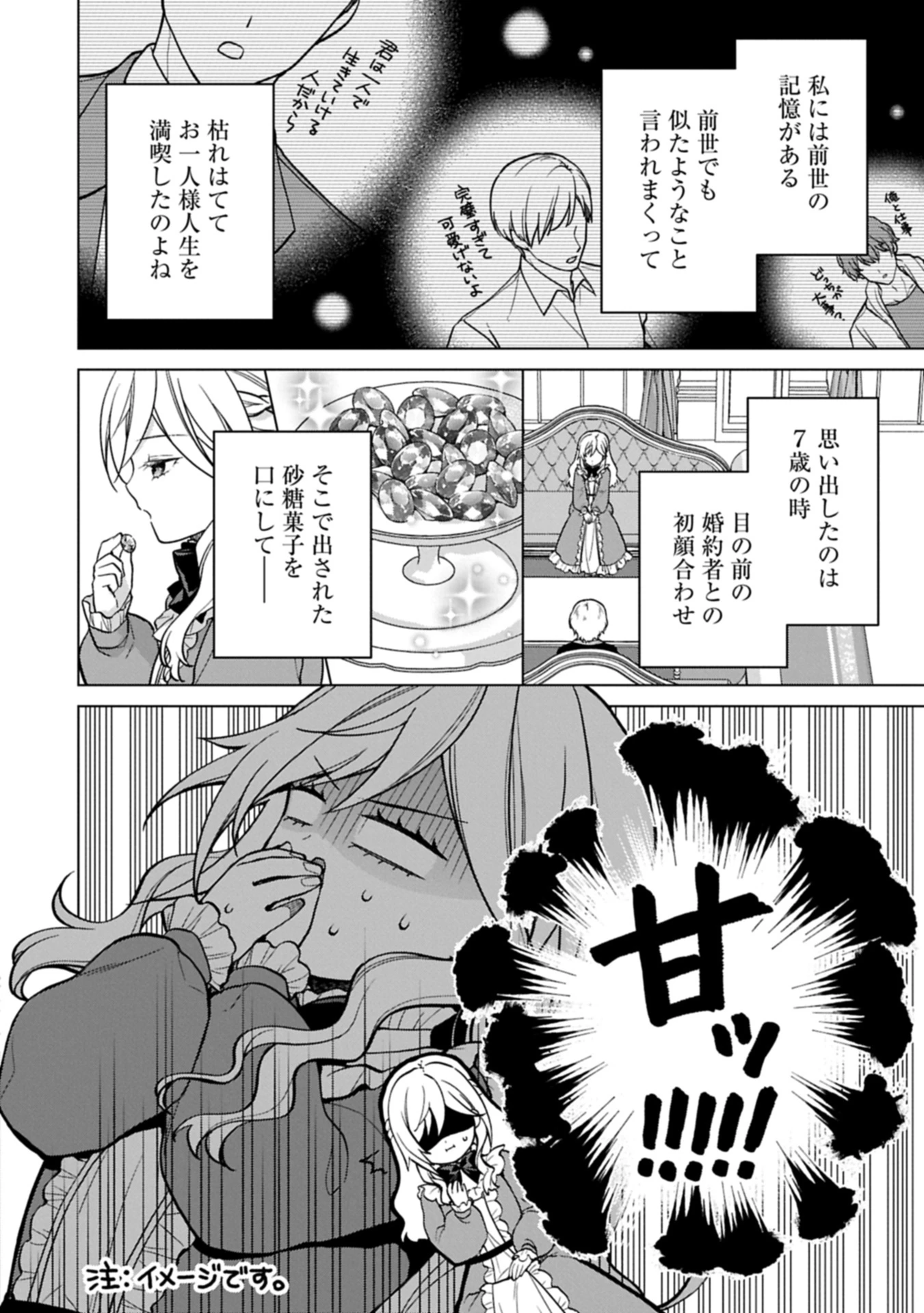 婚約解消のち、お引越し。セイラン・リゼルの気ままで優雅な生活。～才色兼備の転生令嬢は前世チートで自由を満喫します～ 第1話 - 6