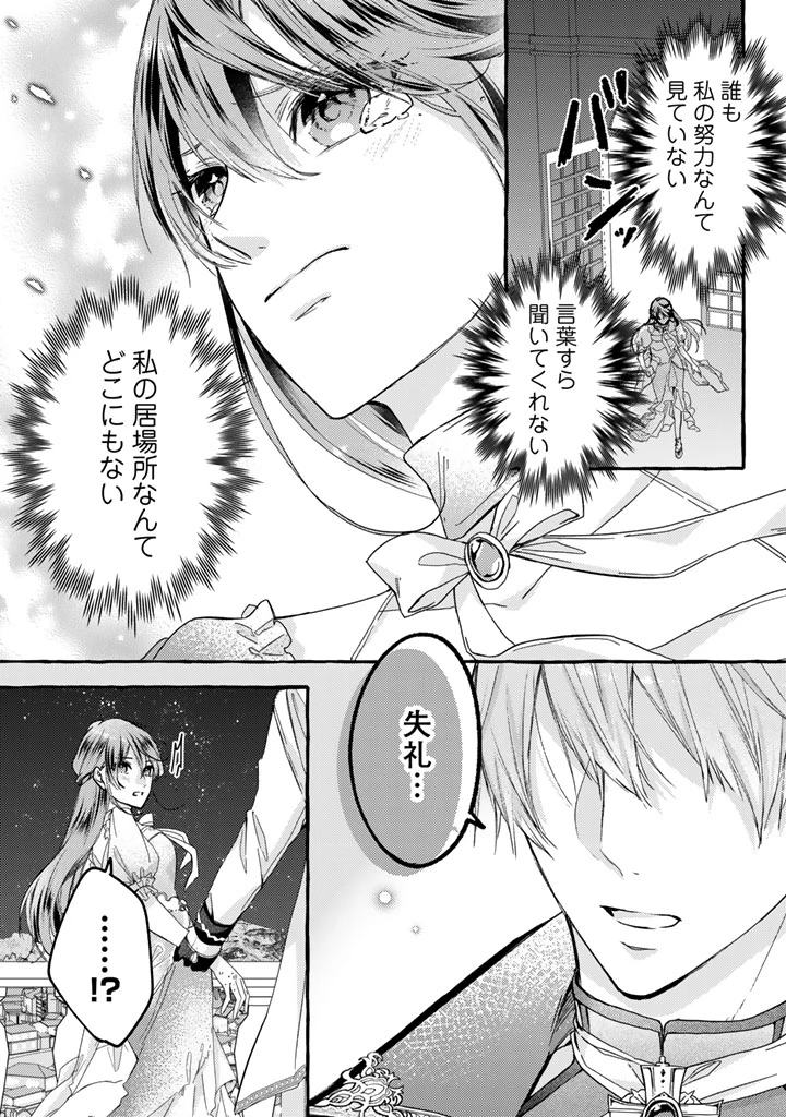 虐げられた秀才令嬢と隣国の腹黒研究者様の甘やかな薬草実験室 第1話 - 26