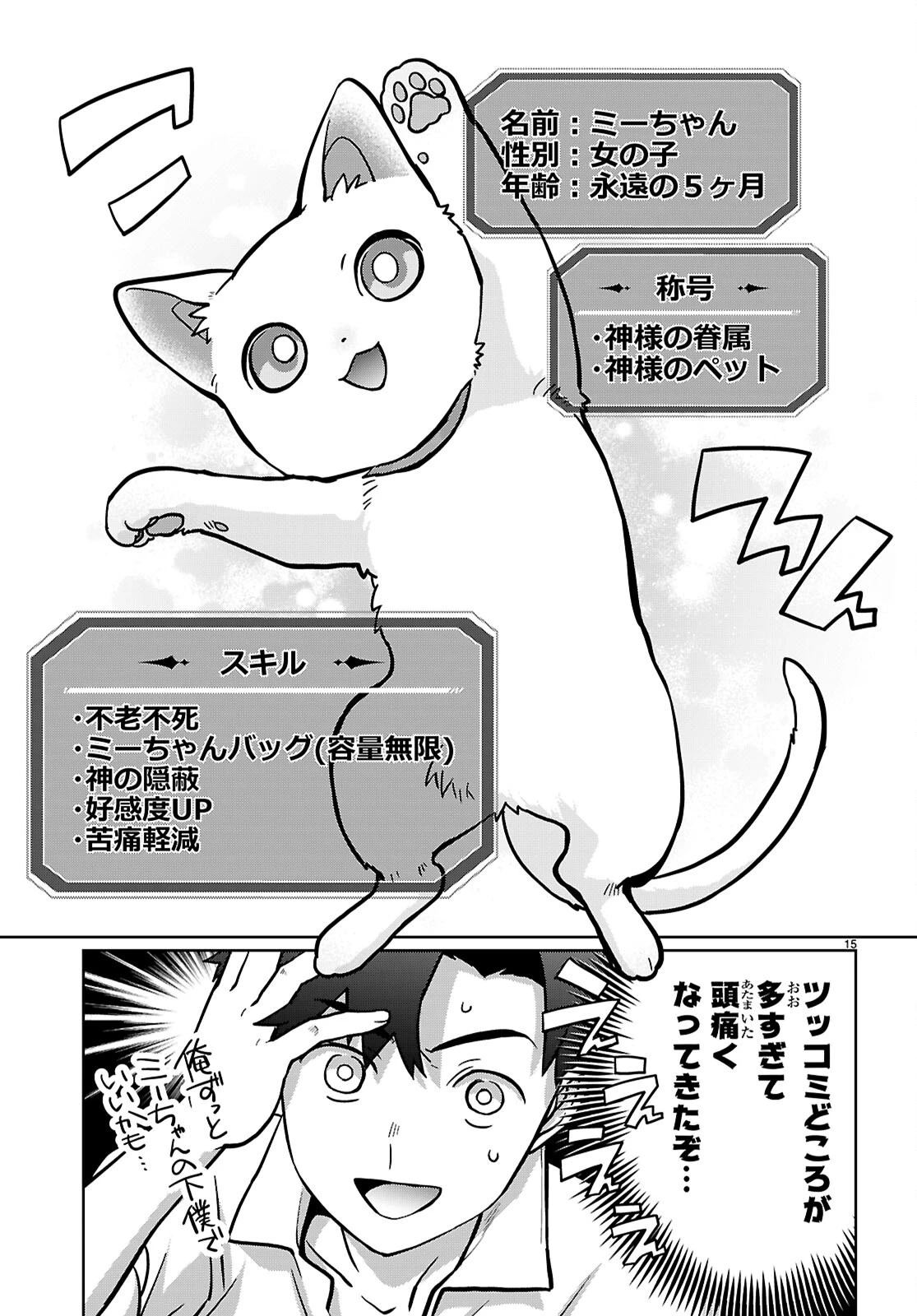 神猫ミーちゃんと猫用品召喚師の異世界奮闘記 ～目指すは、もふもふスローライフ!～ 第4話 - 14