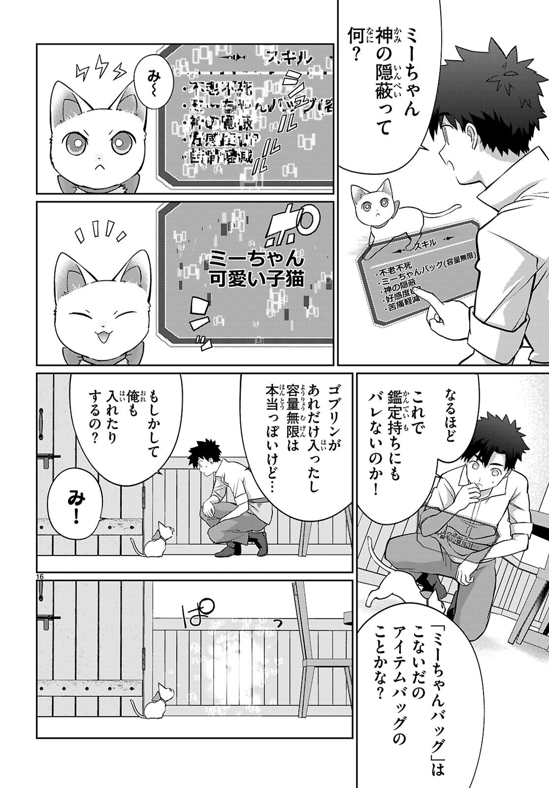 神猫ミーちゃんと猫用品召喚師の異世界奮闘記 ～目指すは、もふもふスローライフ!～ 第4話 - 15