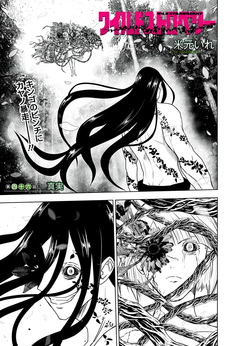 ワイルドストロベリー 第46話 - 1