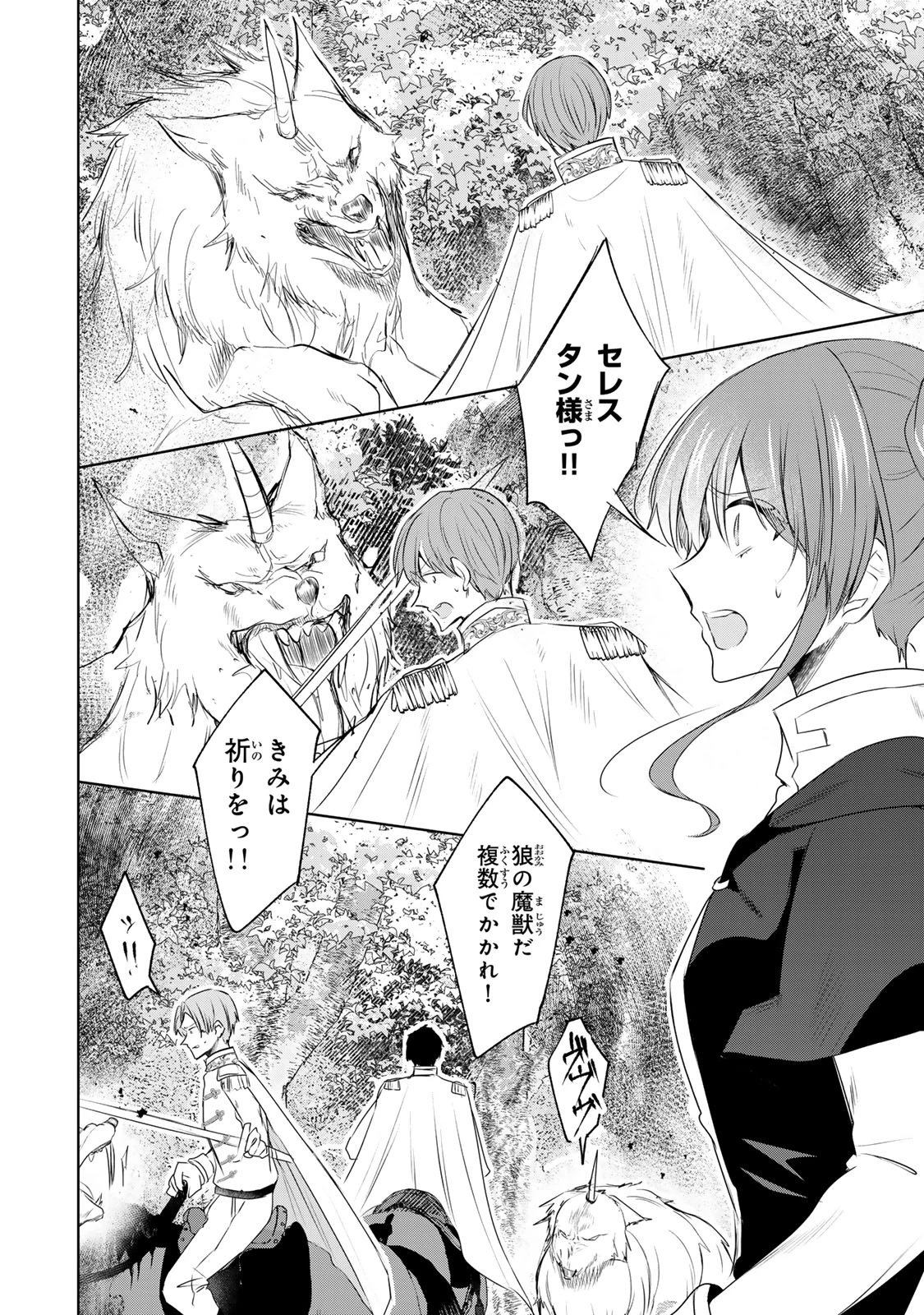 聖女様をお探しでしたら妹で間違いありません。さあどうぞお連れください、今すぐ。 第22話 - 2