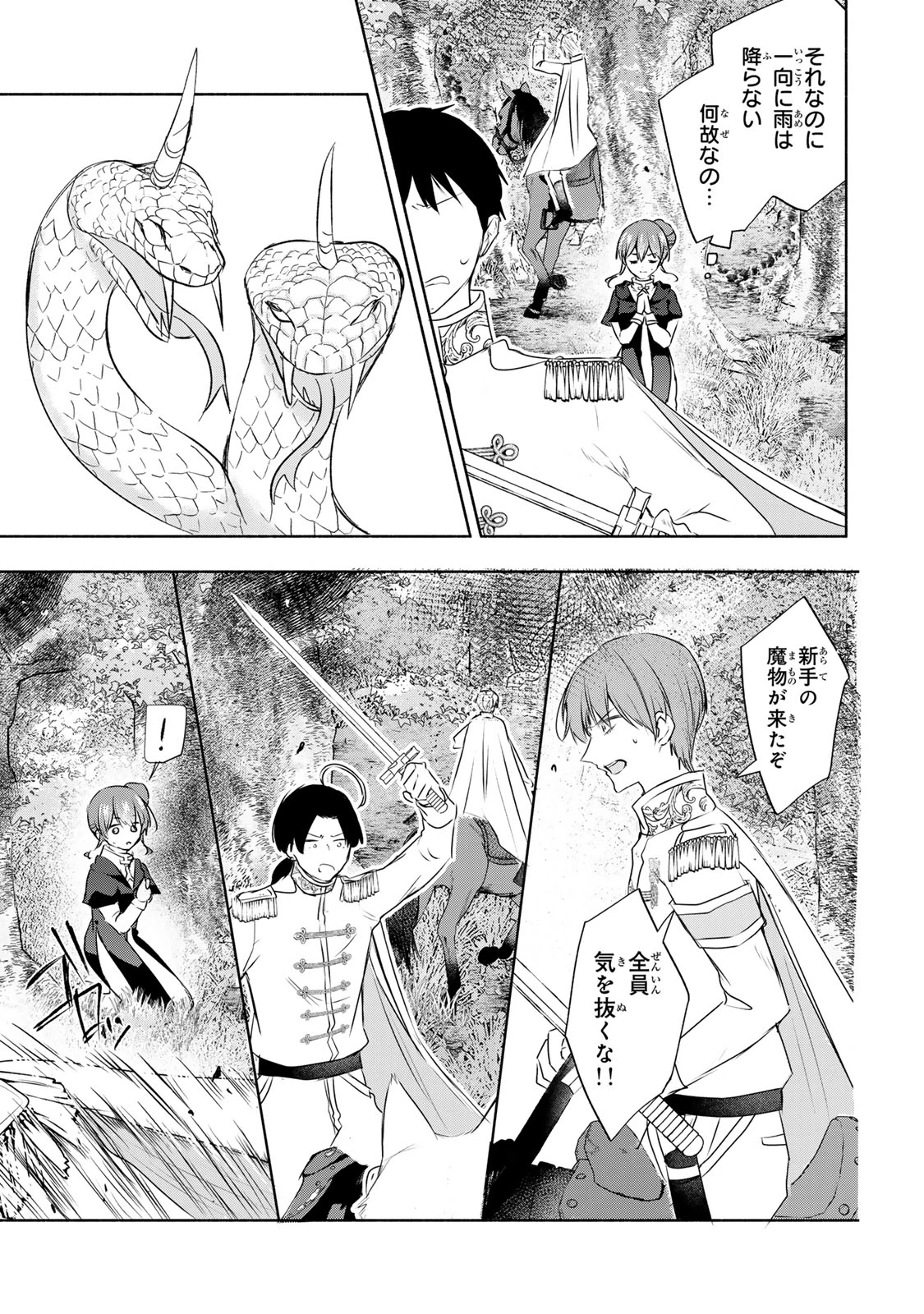 聖女様をお探しでしたら妹で間違いありません。さあどうぞお連れください、今すぐ。 第22話 - 7