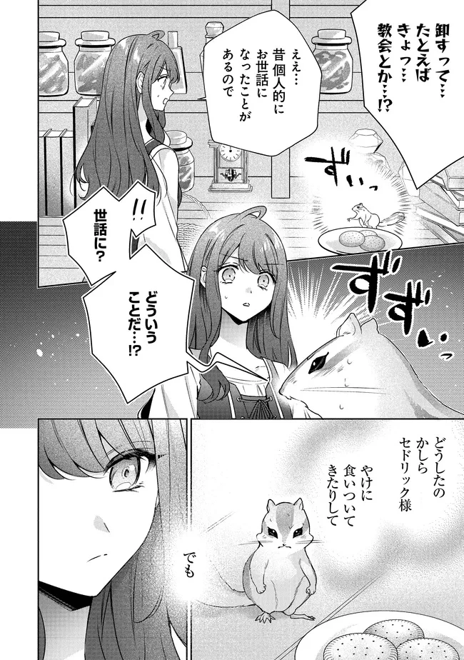 リスになってしまった婚約者が、毛嫌いしていたはずの私に助けを求めてきました。 第5.1話 - 9