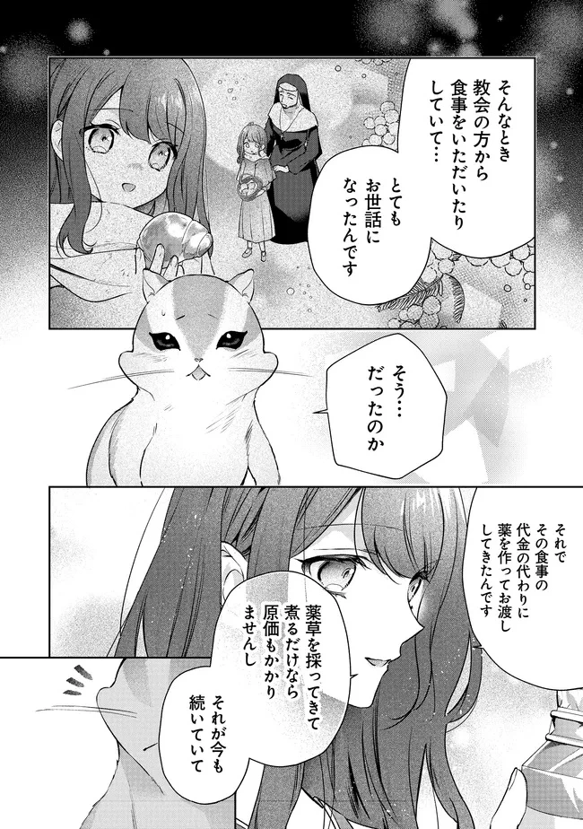 リスになってしまった婚約者が、毛嫌いしていたはずの私に助けを求めてきました。 第5.1話 - 11
