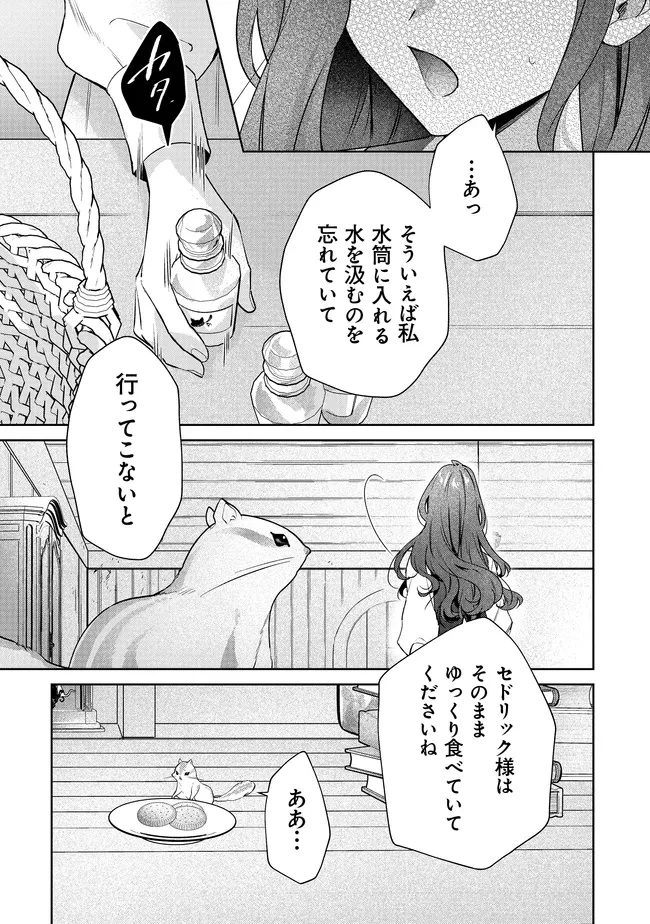 リスになってしまった婚約者が、毛嫌いしていたはずの私に助けを求めてきました。 第5.1話 - 14