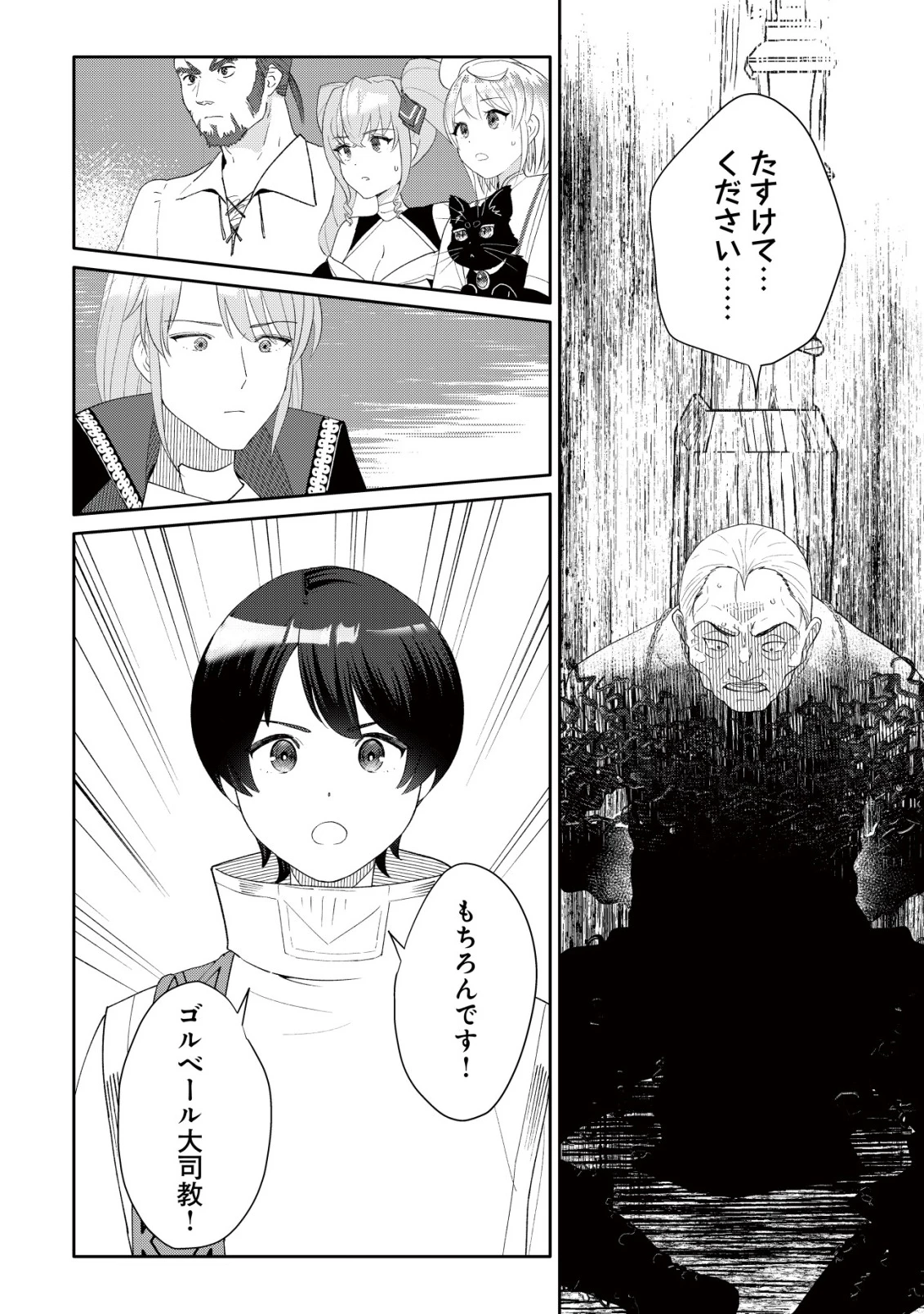 ＳＳＳ級スキル配布神官の辺境セカンドライフ～左遷先の村人たちに愛されながら最高の村をつくります！～ 第11話 - 29