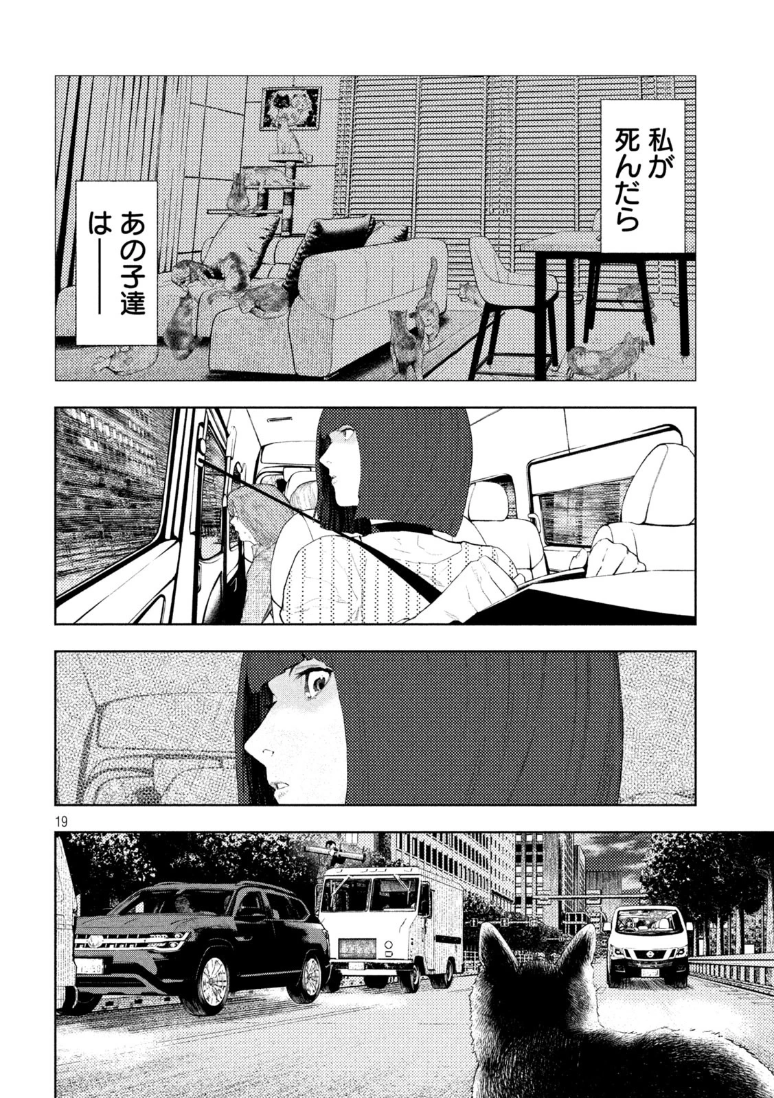 アマチュアビジランテ 第43話 - 19