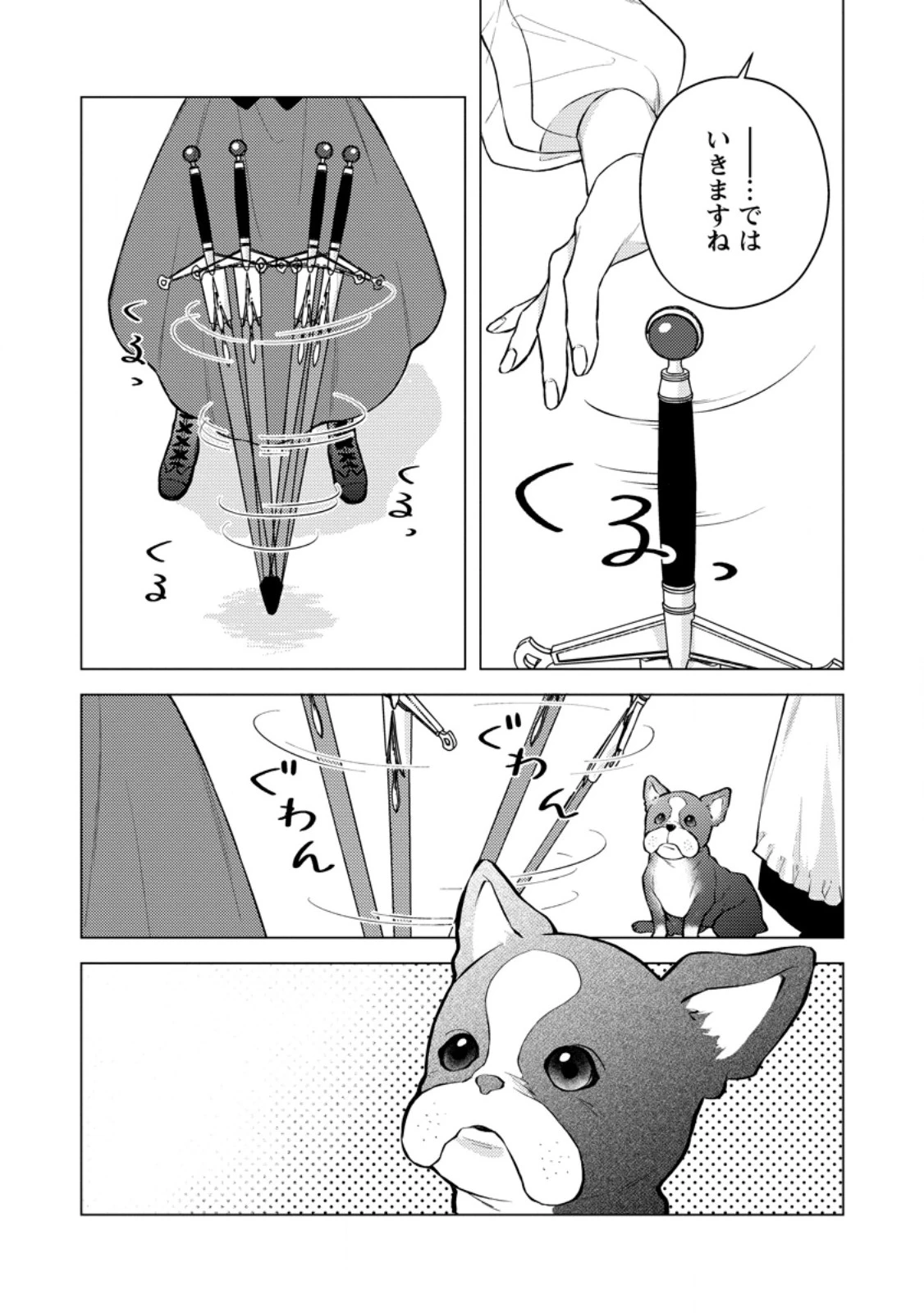 ヴェールの聖女～醜いと誤解された聖女、イケメン護衛騎士に溺愛される～ 第19.2話 - 6