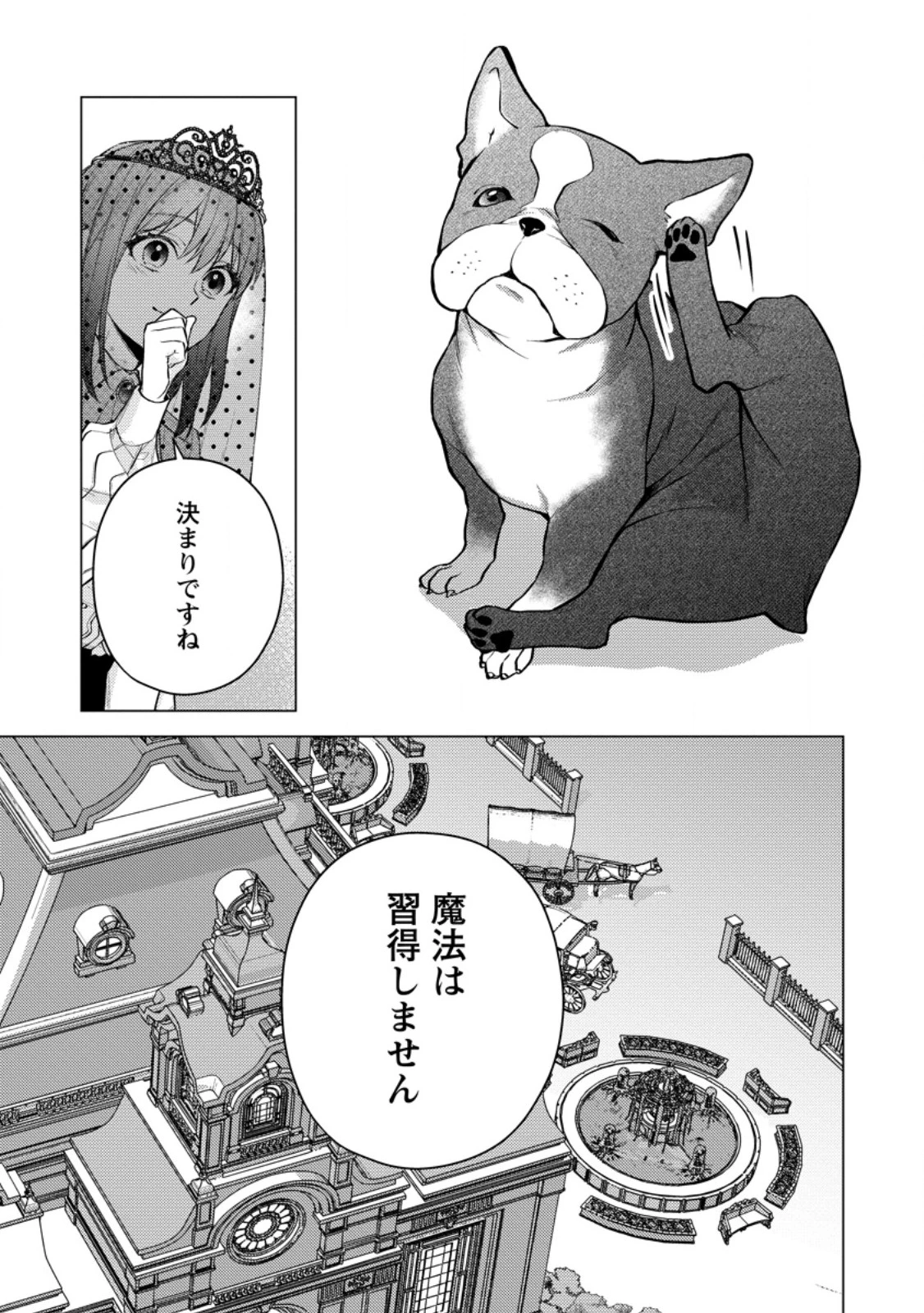 ヴェールの聖女～醜いと誤解された聖女、イケメン護衛騎士に溺愛される～ 第19.2話 - 8