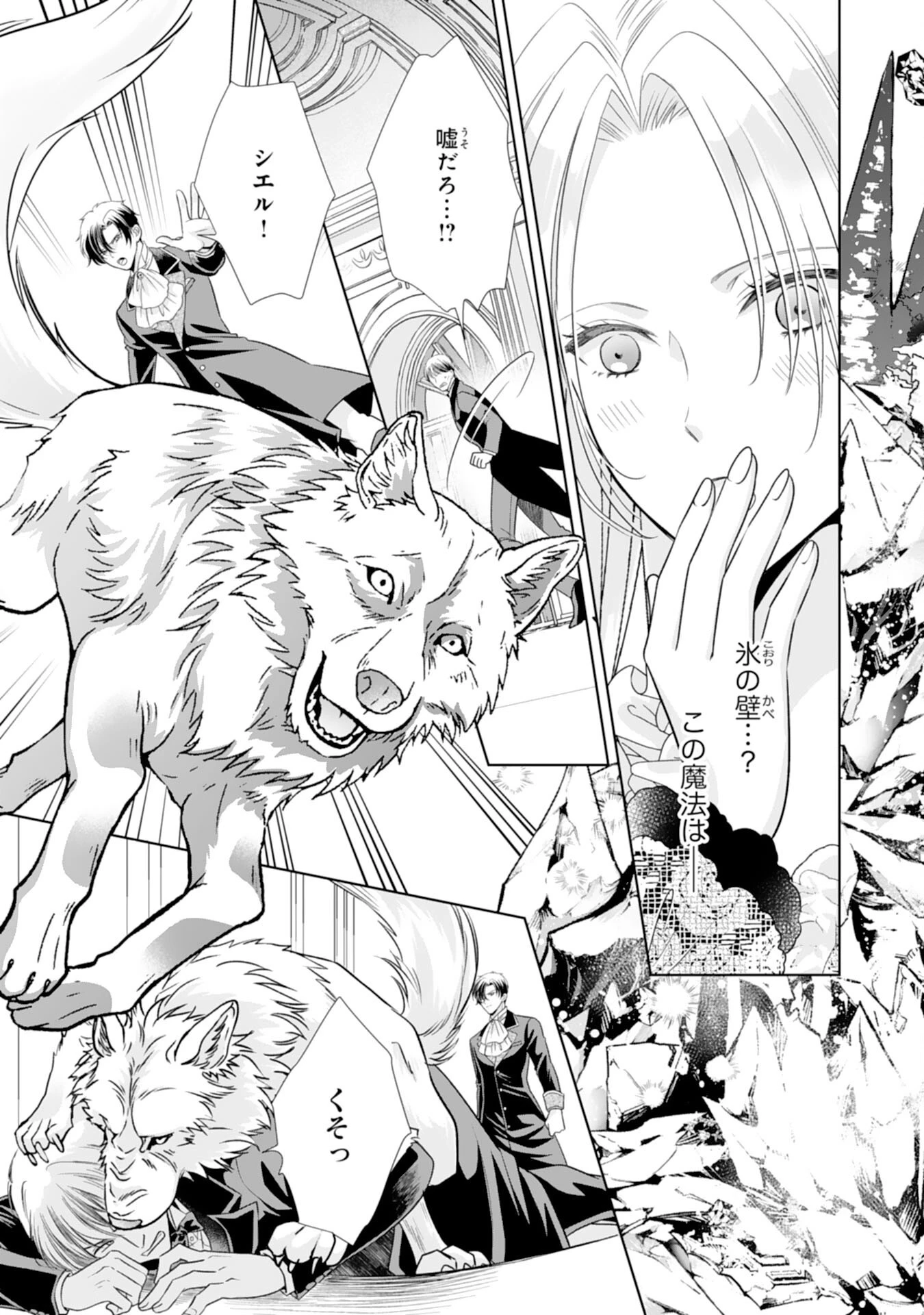 鉄の女だと嫌われていたのに、冷徹公爵にループ前から溺愛されてたって本当ですか？ 第15話 - 5