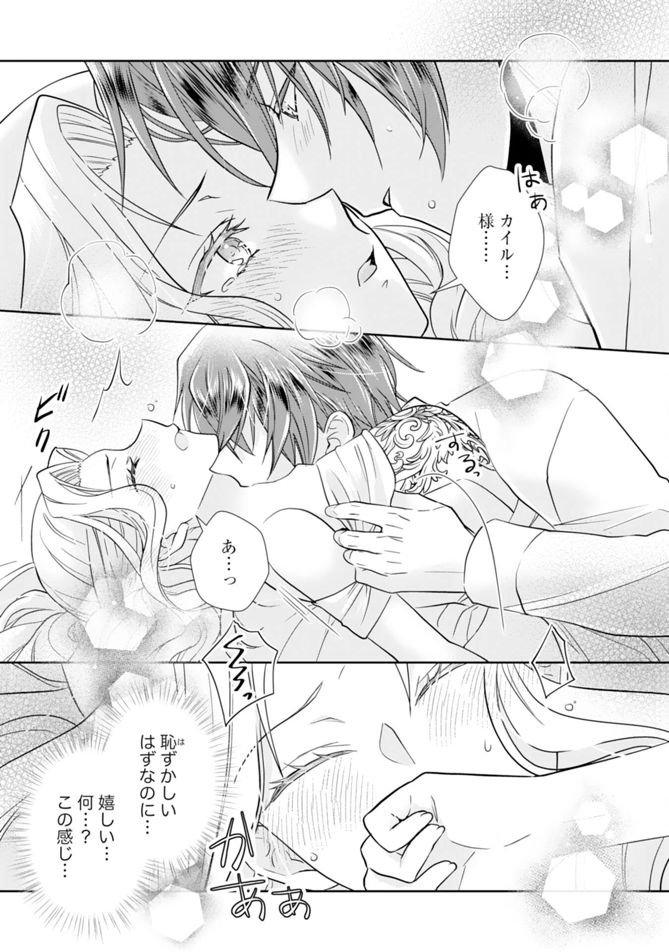 捨てられ令嬢は、獣な次期国王に溺愛される 第10話 - 25