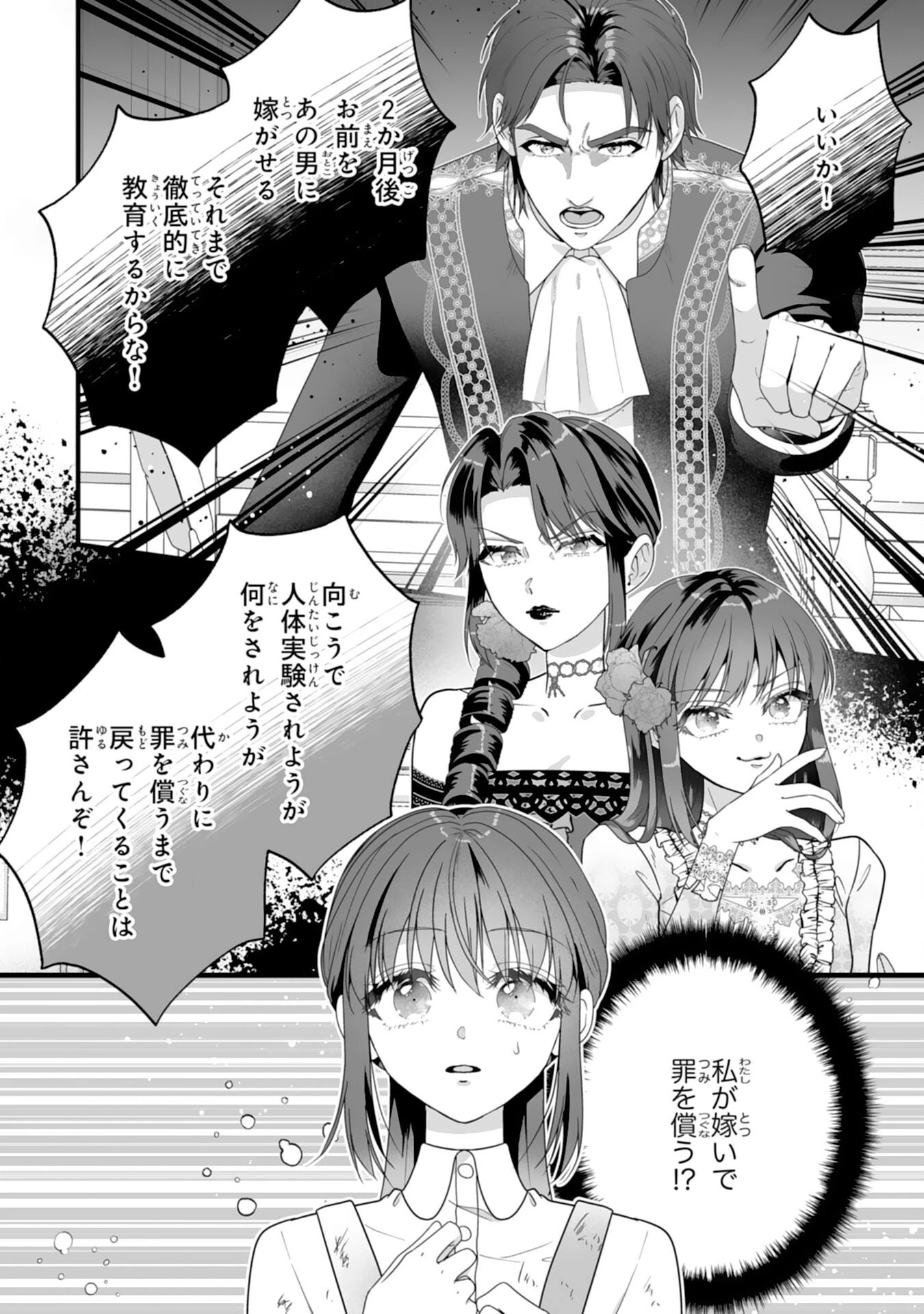 冷酷な公爵様は名無しのお飾り妻がお気に入り～悪女な姉の身代わりで結婚したはずが、気がつくと溺愛されていました～ 第1話 - 27