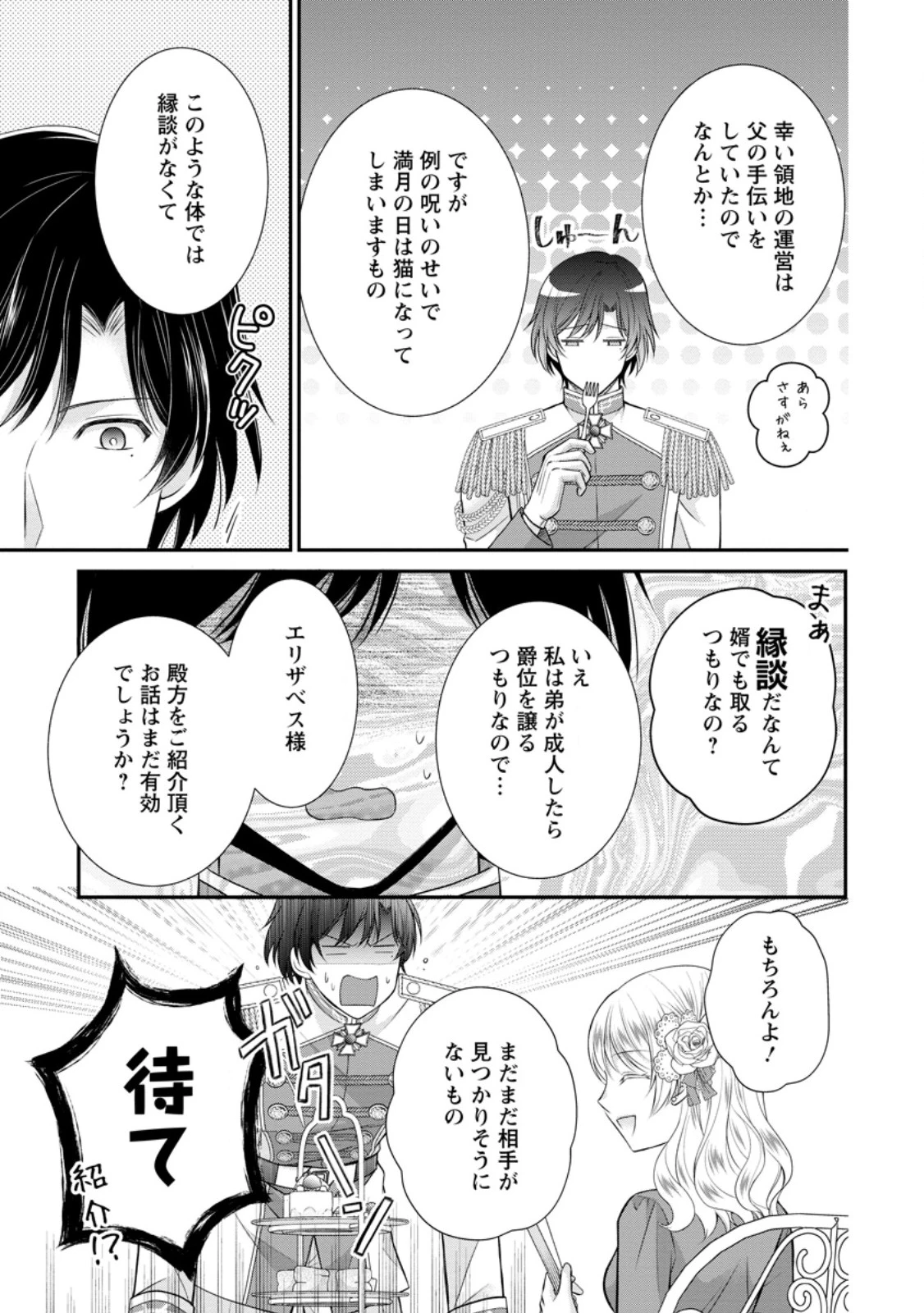 呪いで猫にされた悪女、王太子に拾われる。 第15.1話 - 9